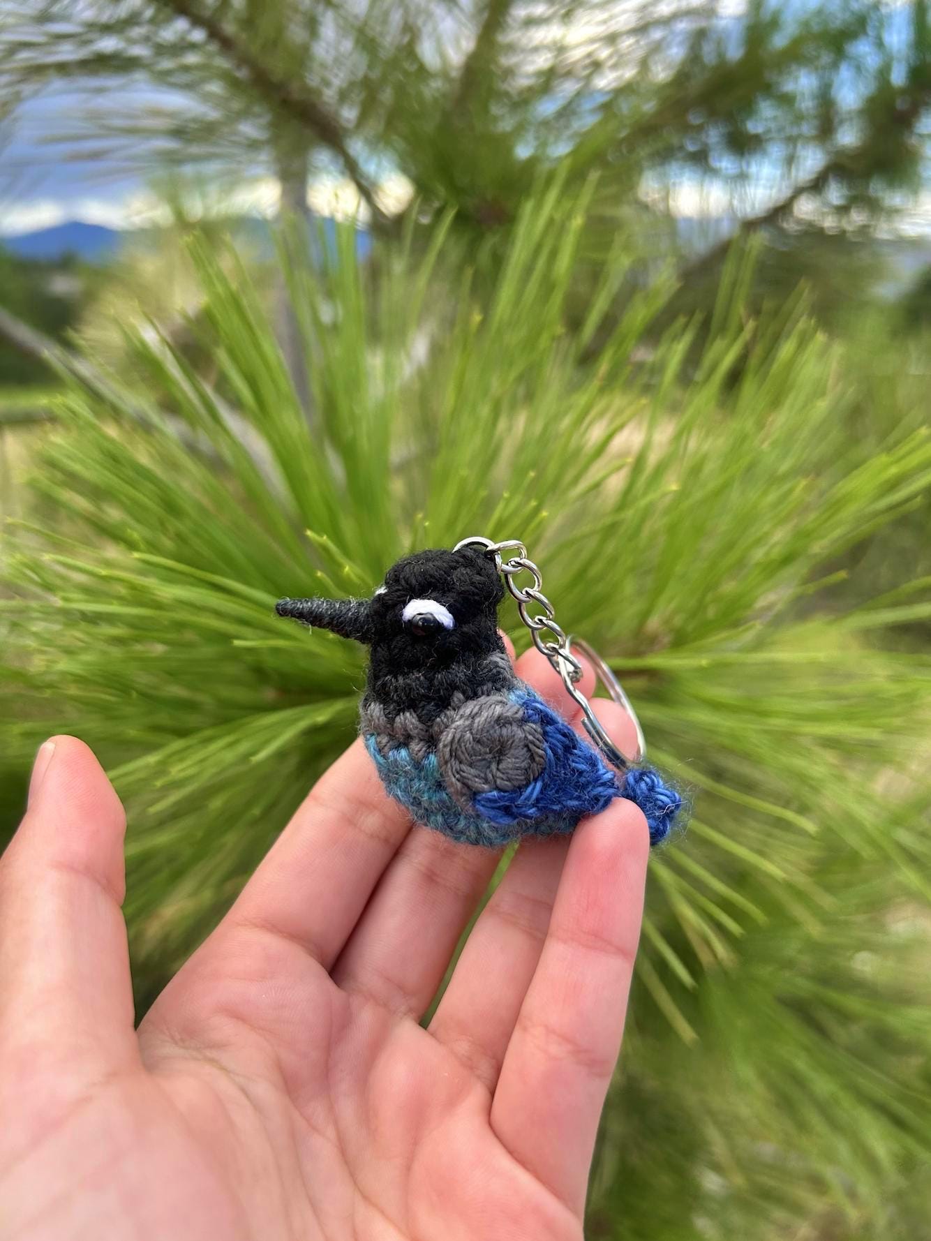 Tiny Birdies Steller's Jay Written Crochet Pattern | DIGITAL PDF