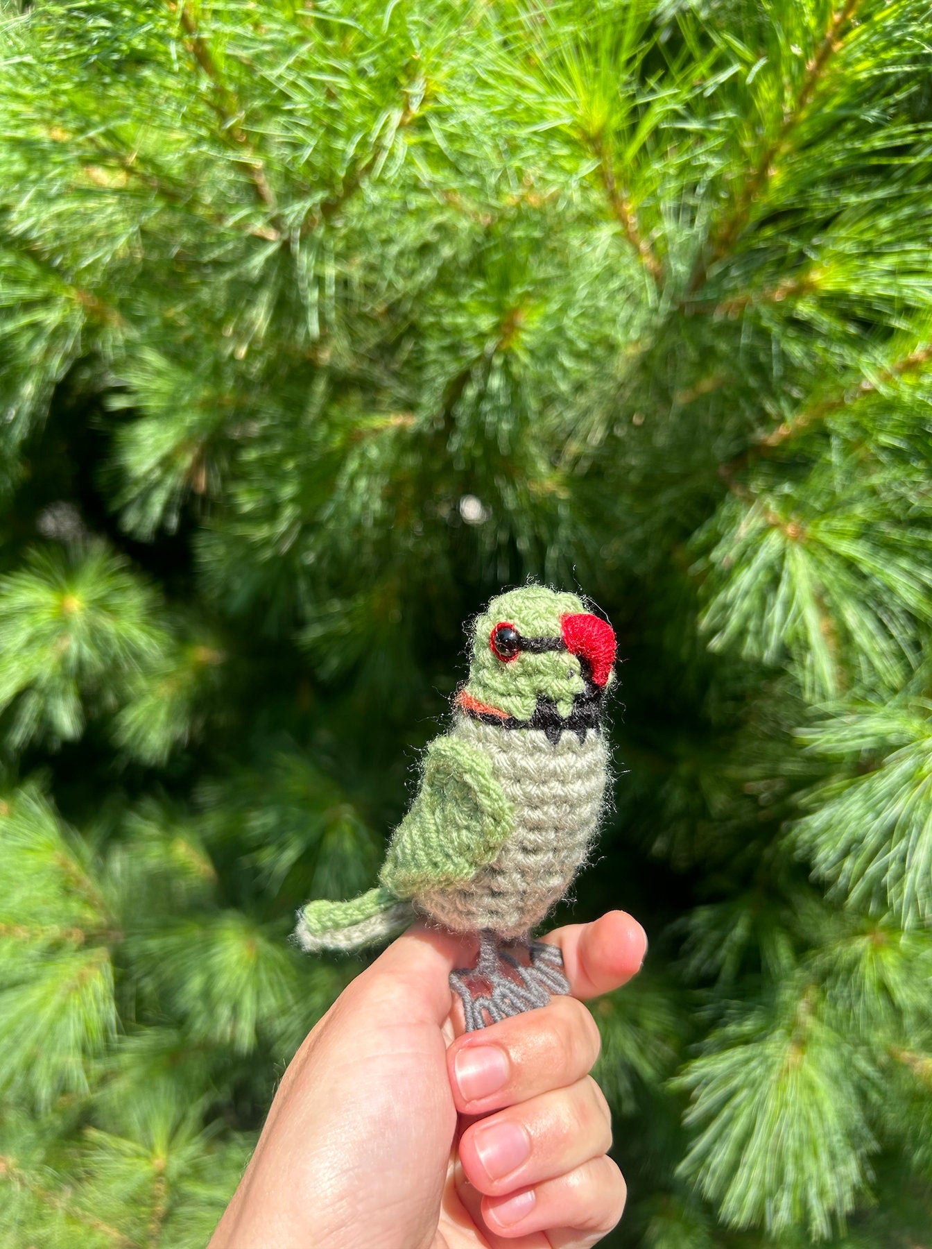Rose Ringed Parakeet Written Crochet Pattern | DIGITAL PDF