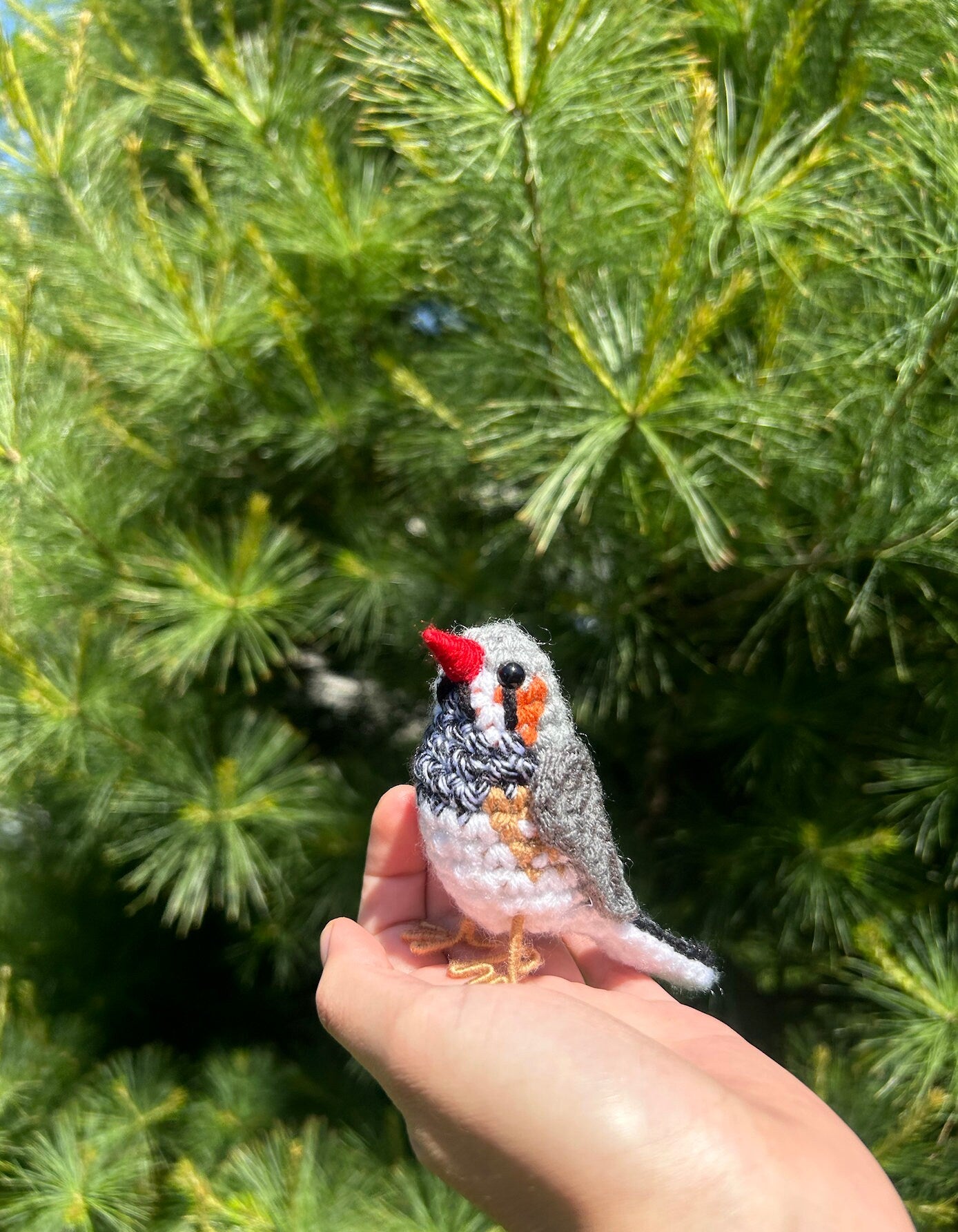 Zebra Finch Written Crochet Pattern | DIGITAL PDF