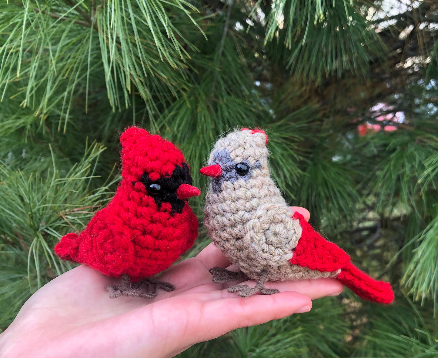 Male + Female Cardinal Bundle