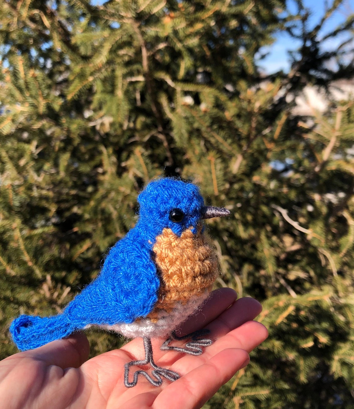 Eastern Bluebird Written Crochet Pattern | DIGITAL PDF