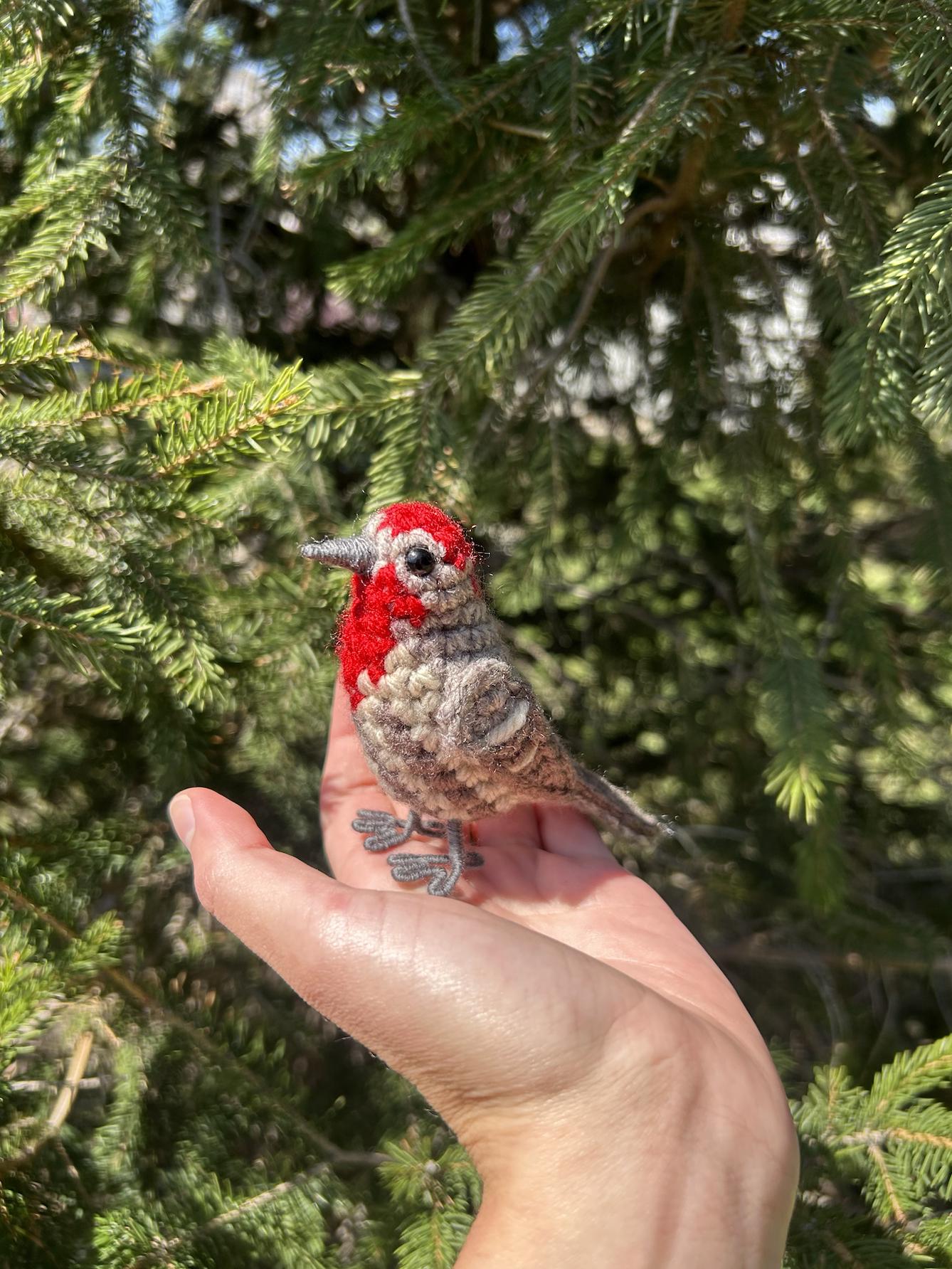 House Finch Plush