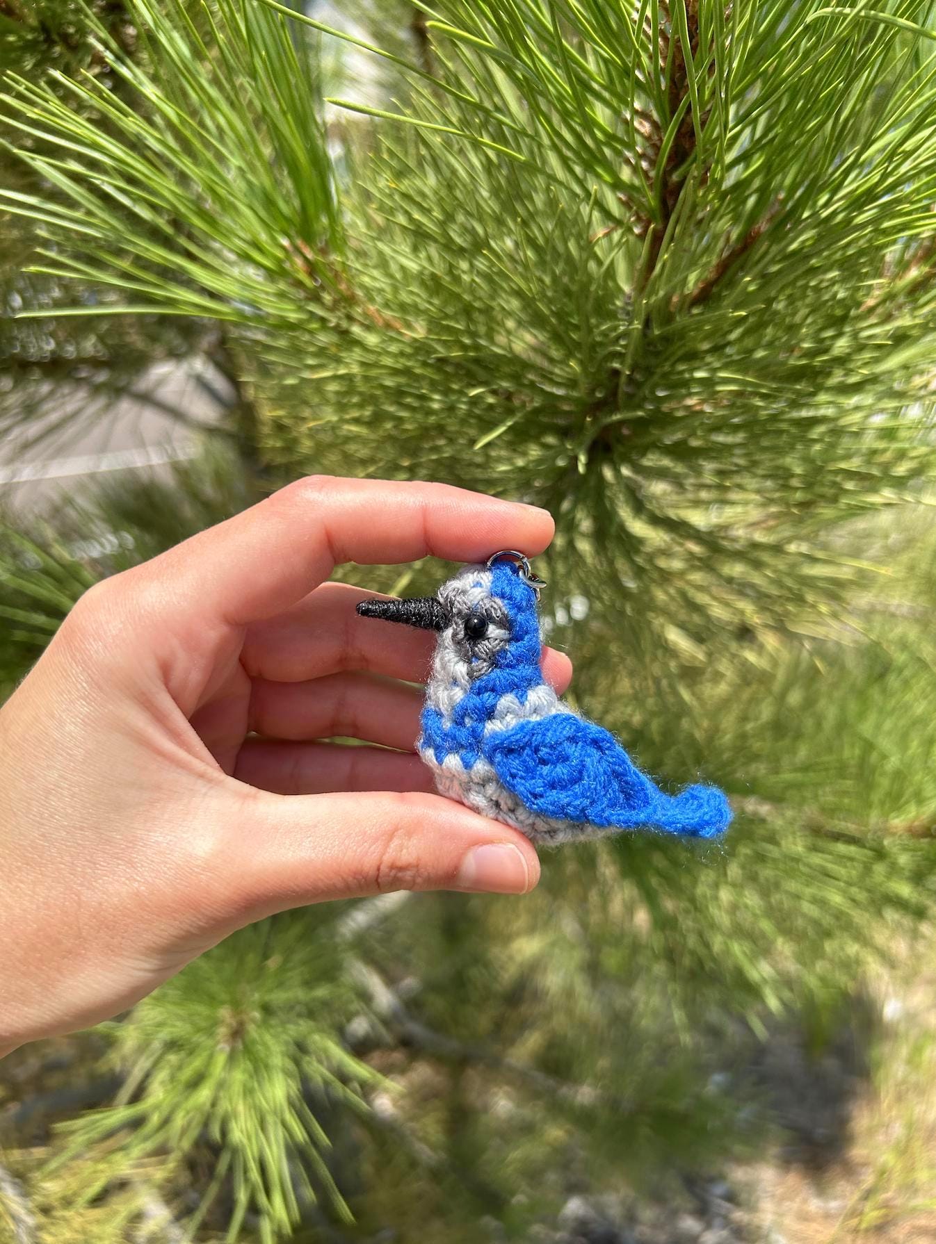 Tiny Birdies Scrub Jay Written Crochet Pattern | DIGITAL PDF