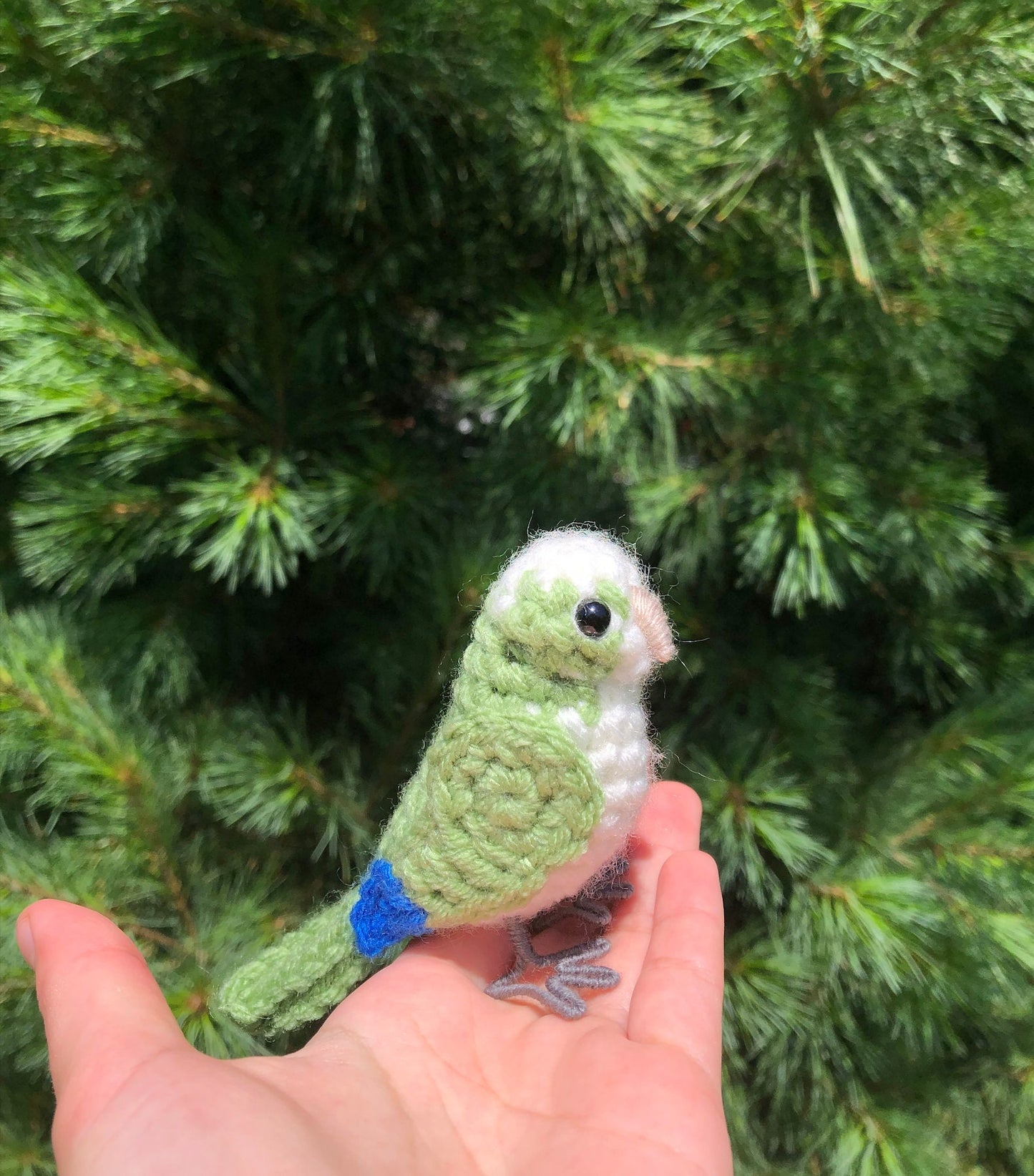 Quaker Parrot Written Crochet Pattern | DIGITAL PDF
