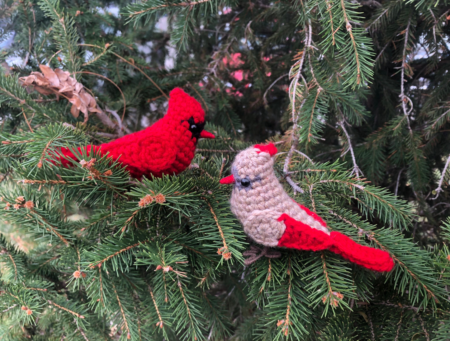 Male + Female Cardinal Crochet Pattern Bundle | DIGITAL PDFs
