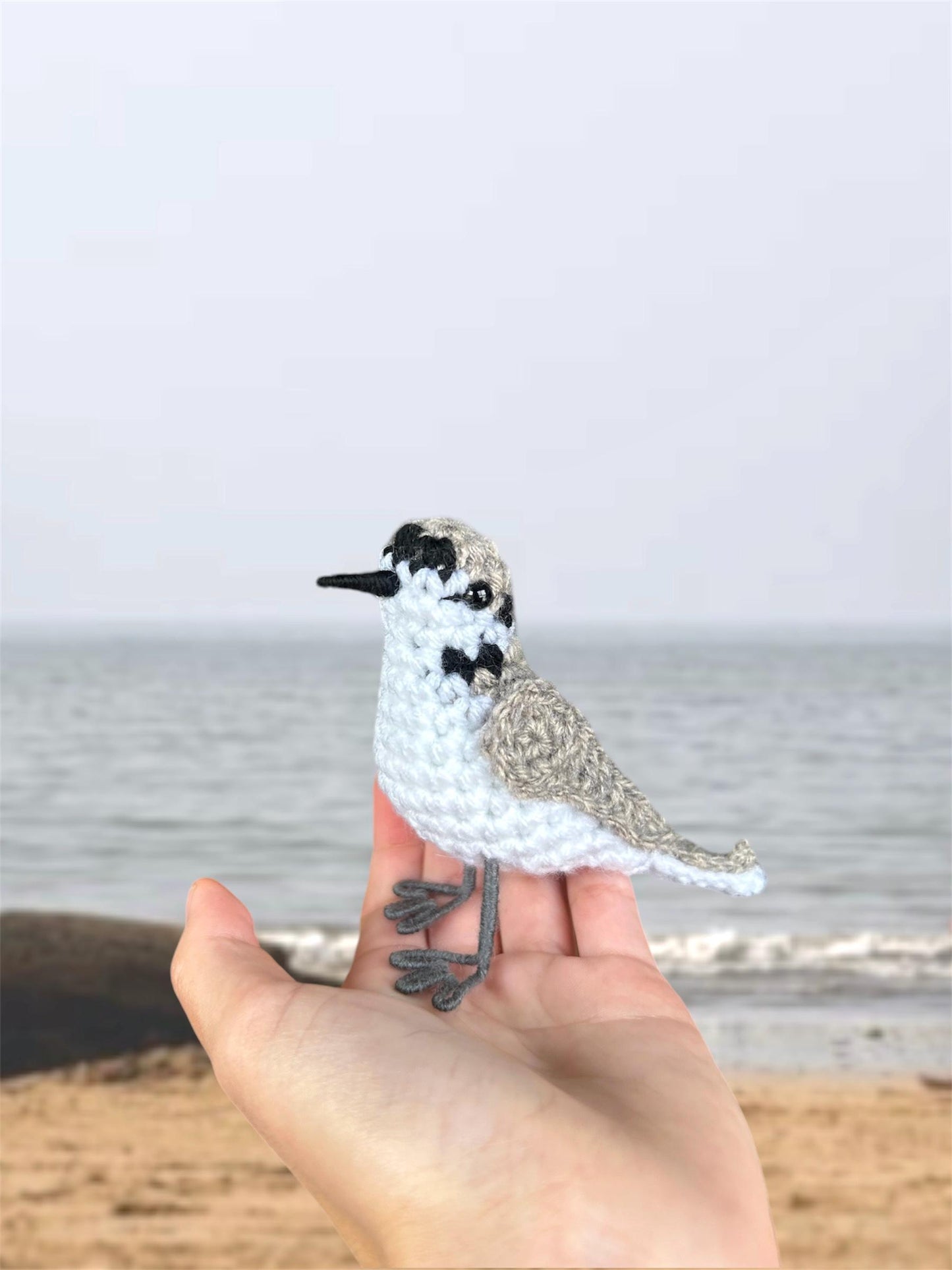 Snowy Plover Written Crochet Pattern | DIGITAL PDF