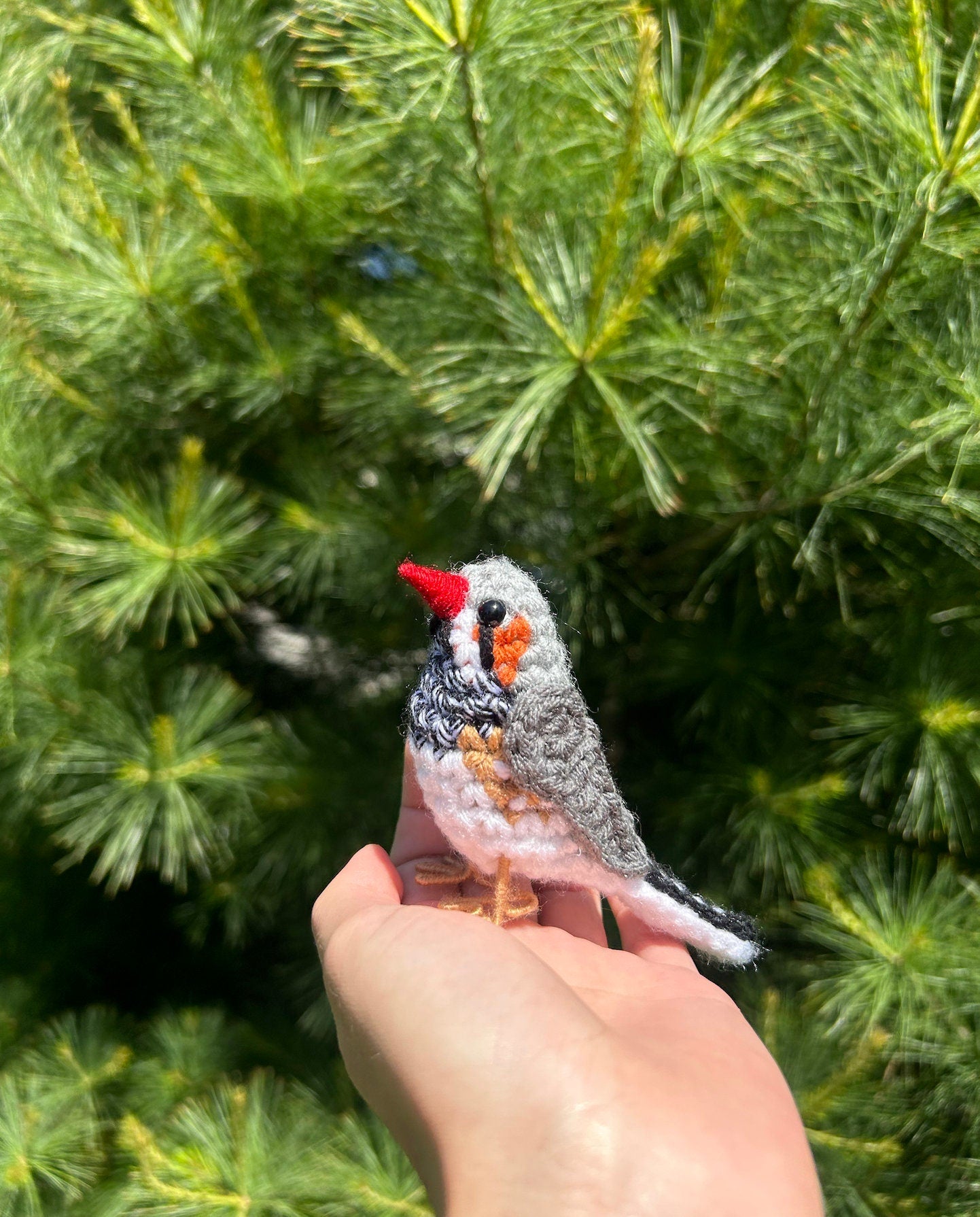 Zebra Finch Written Crochet Pattern | DIGITAL PDF