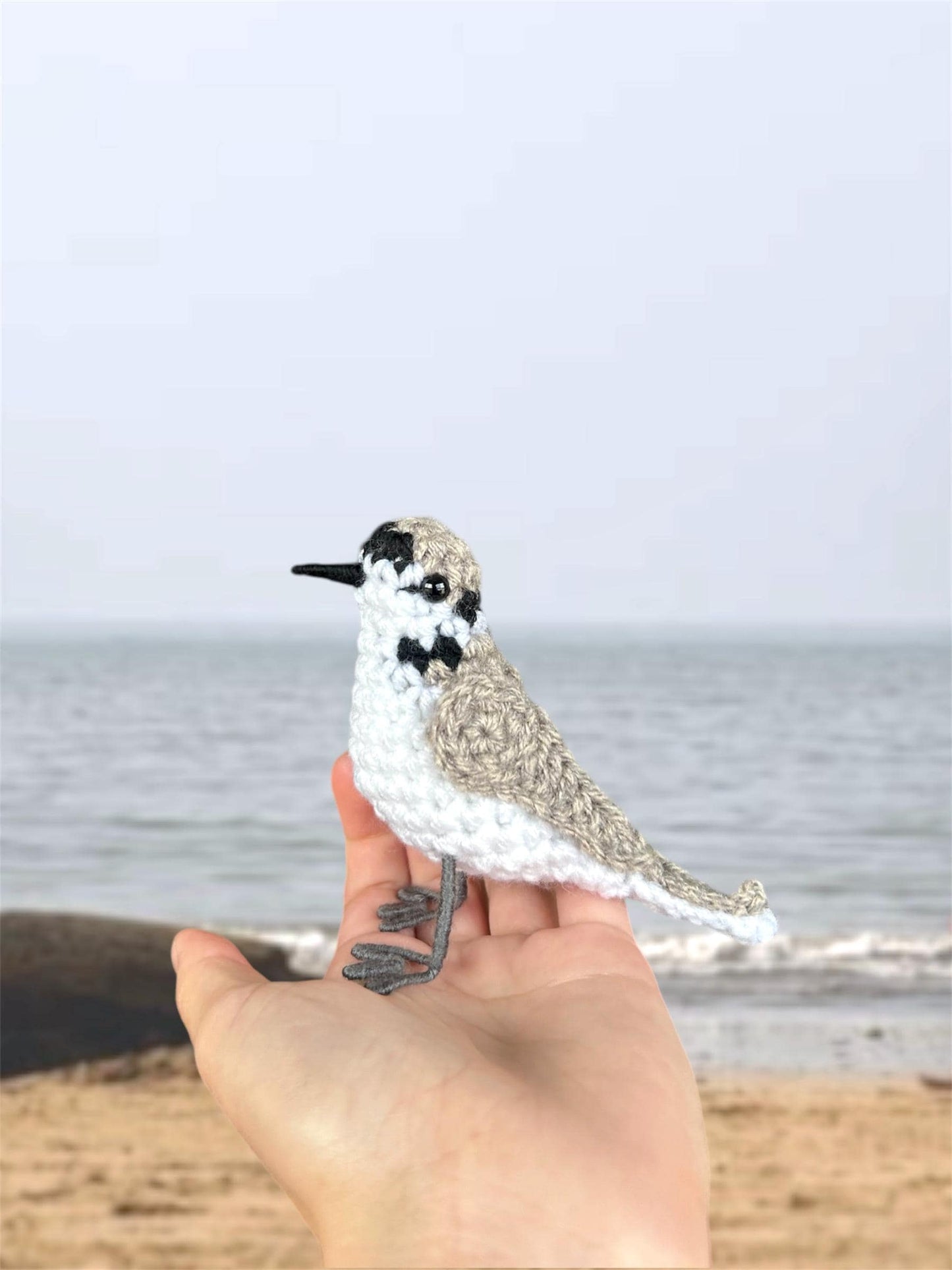 Snowy Plover Written Crochet Pattern | DIGITAL PDF
