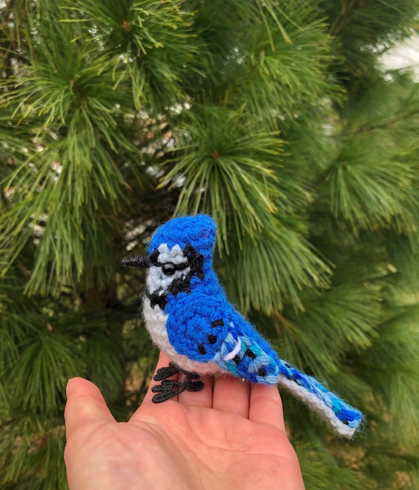 Beautiful Blue Jay Plush