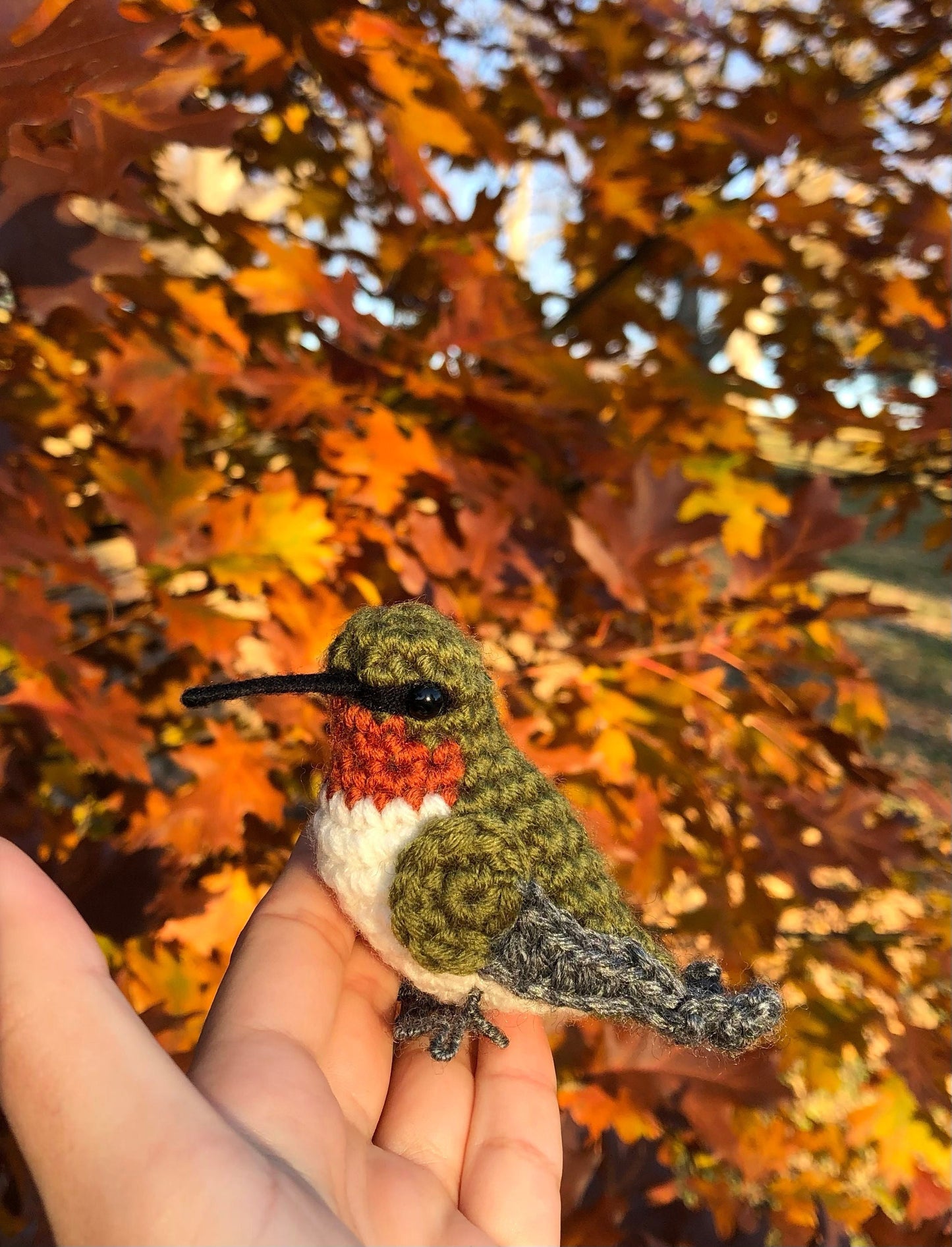 Ruby Throated Hummingbird Written Crochet Pattern | DIGITAL PDF