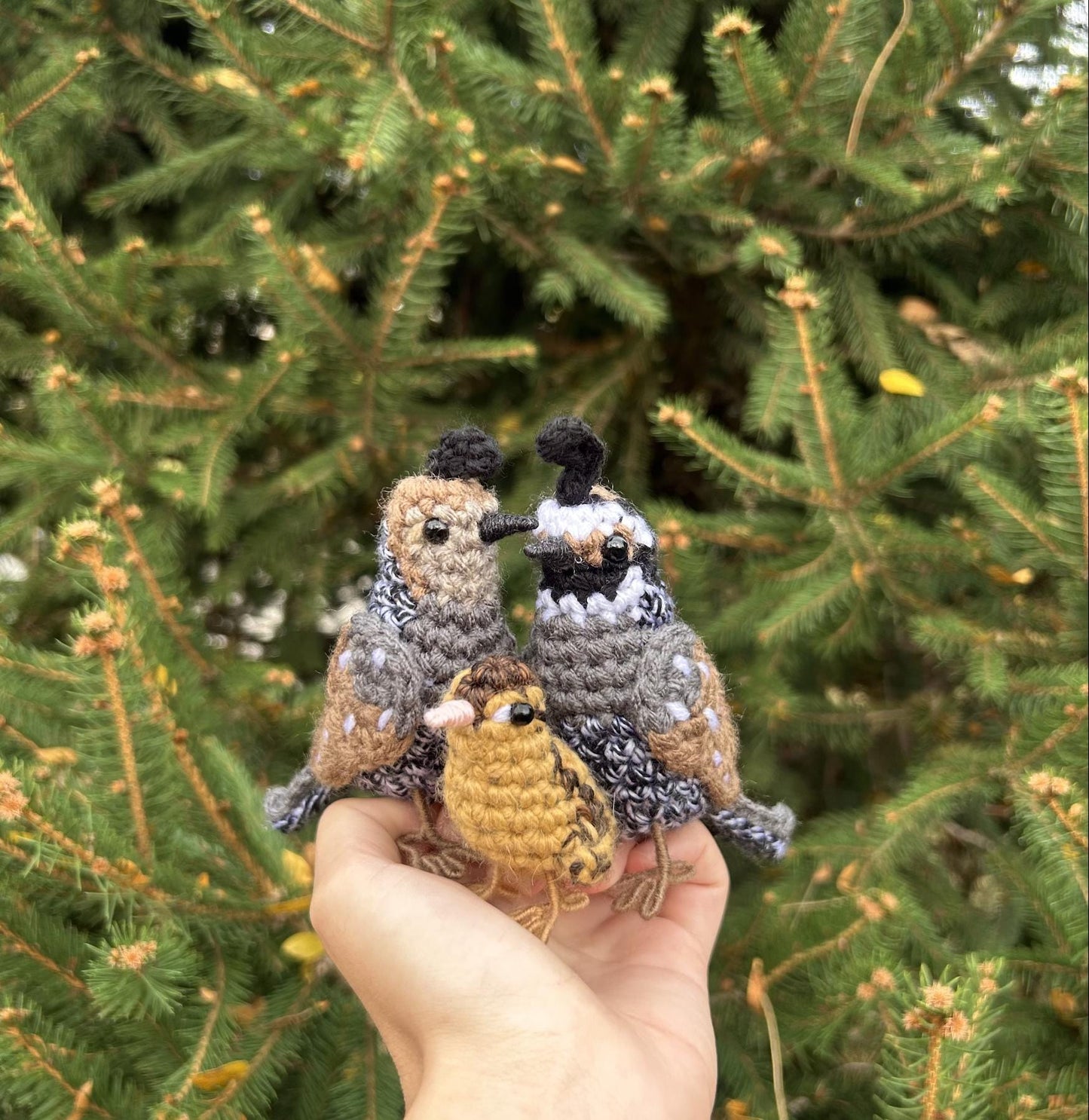 Quail Family Crochet Pattern Bundle | DIGITAL PDFs
