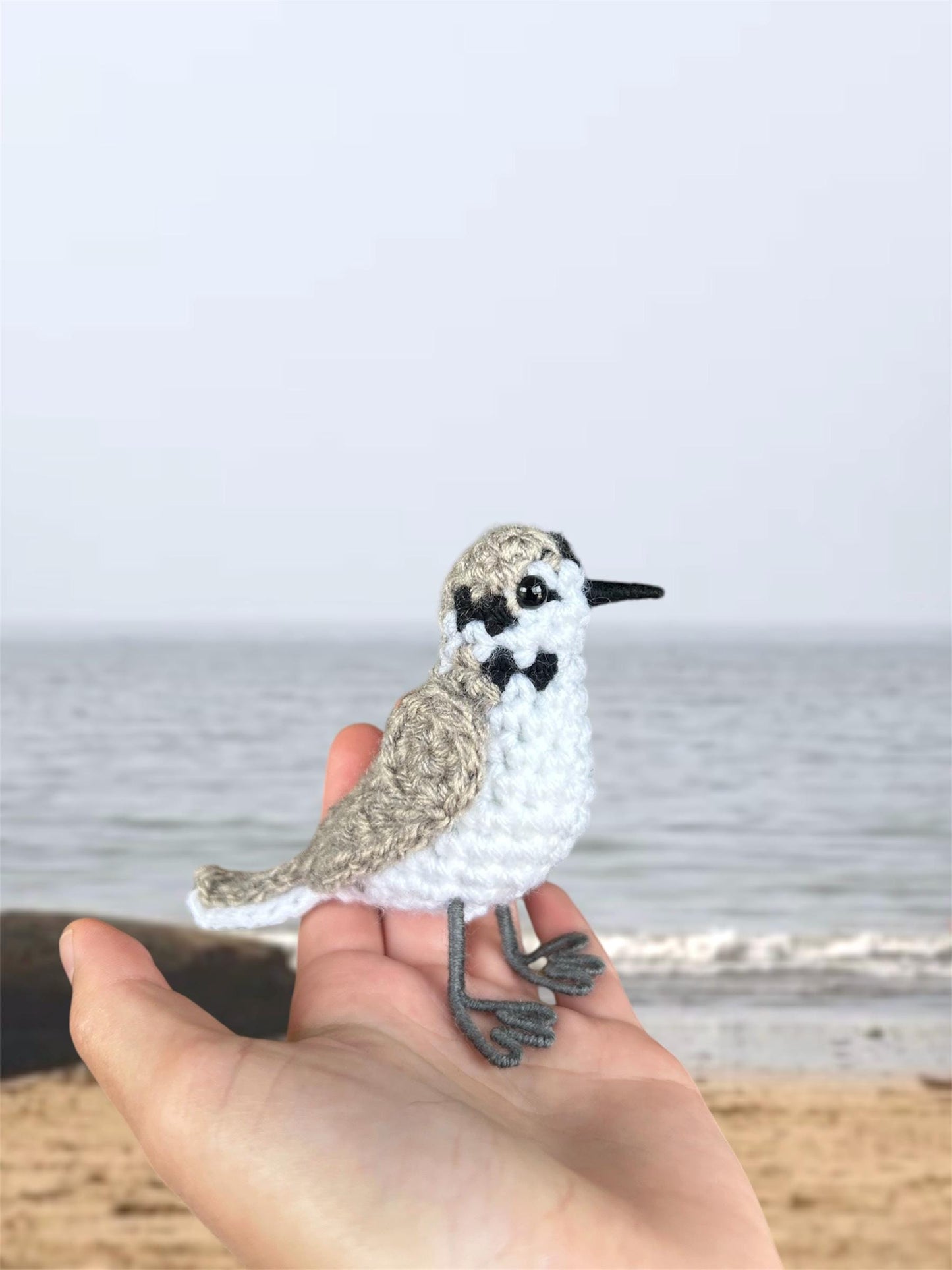 Snowy Plover Written Crochet Pattern | DIGITAL PDF