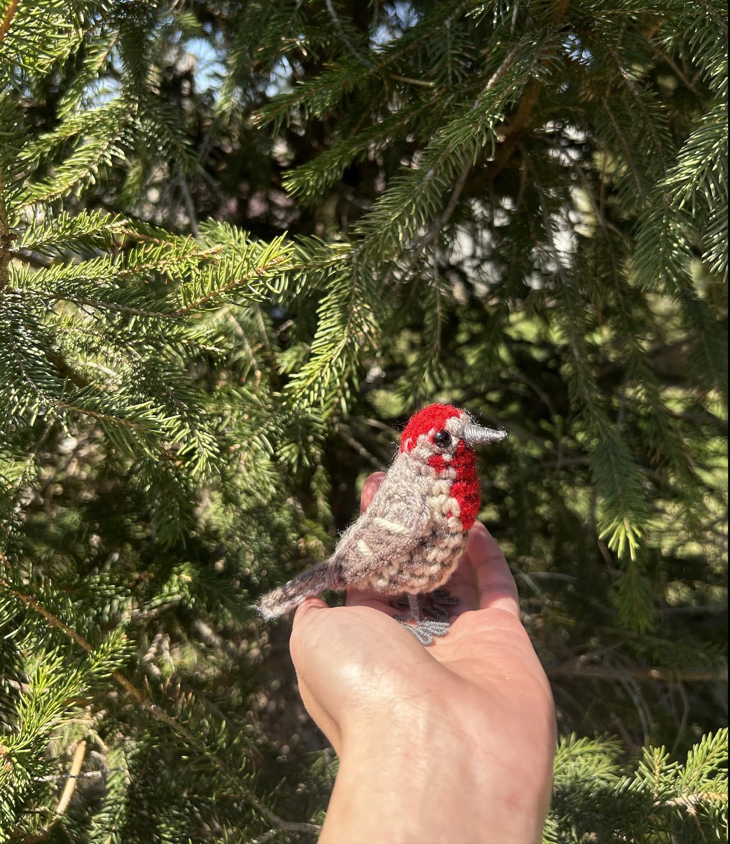 House Finch Written Crochet Pattern | DIGITAL PDF