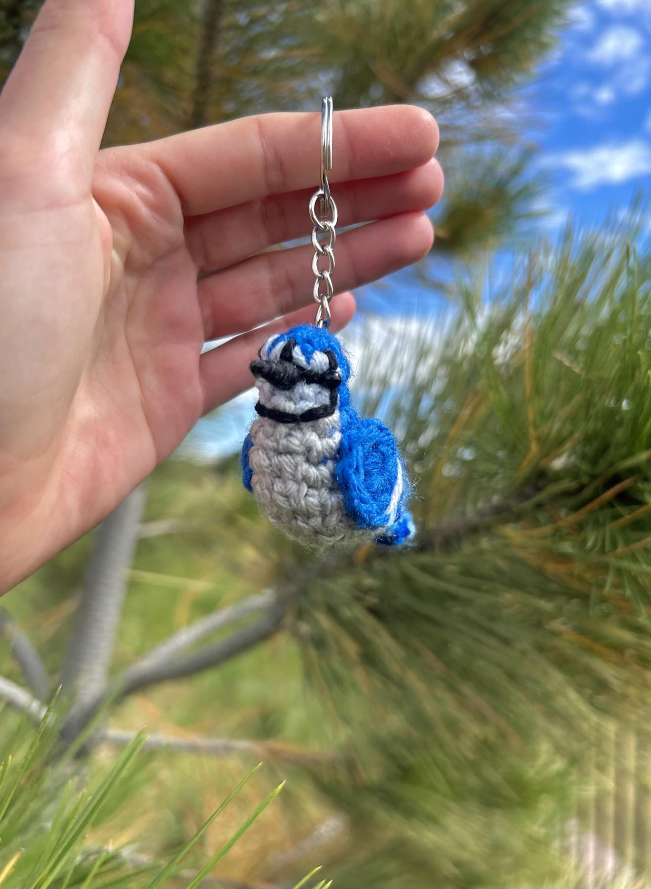 Tiny Birdies Blue Jay Written Crochet Pattern | DIGITAL PDF