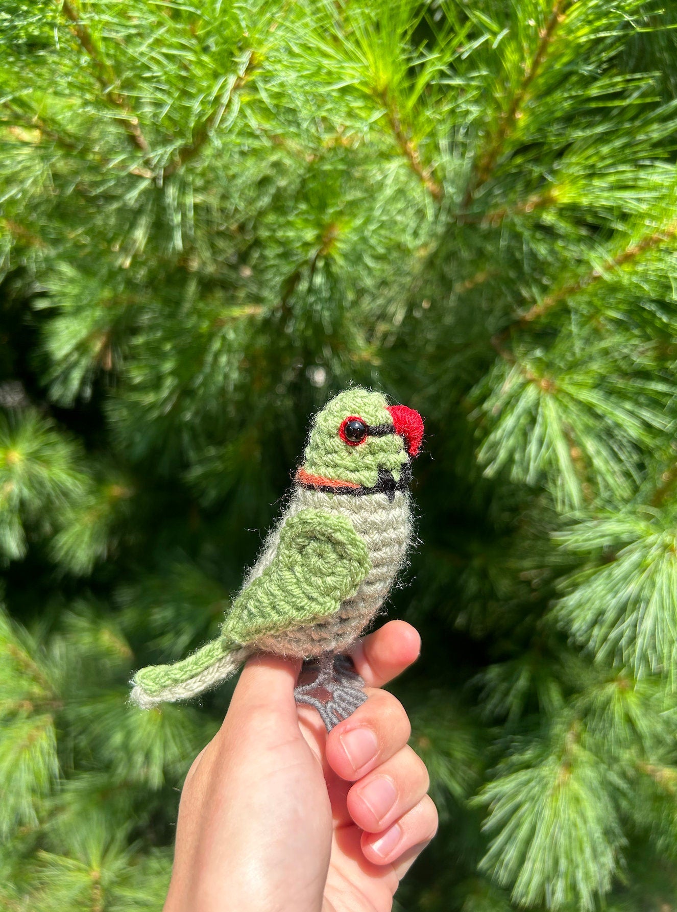 Rose Ringed Parakeet Written Crochet Pattern | DIGITAL PDF