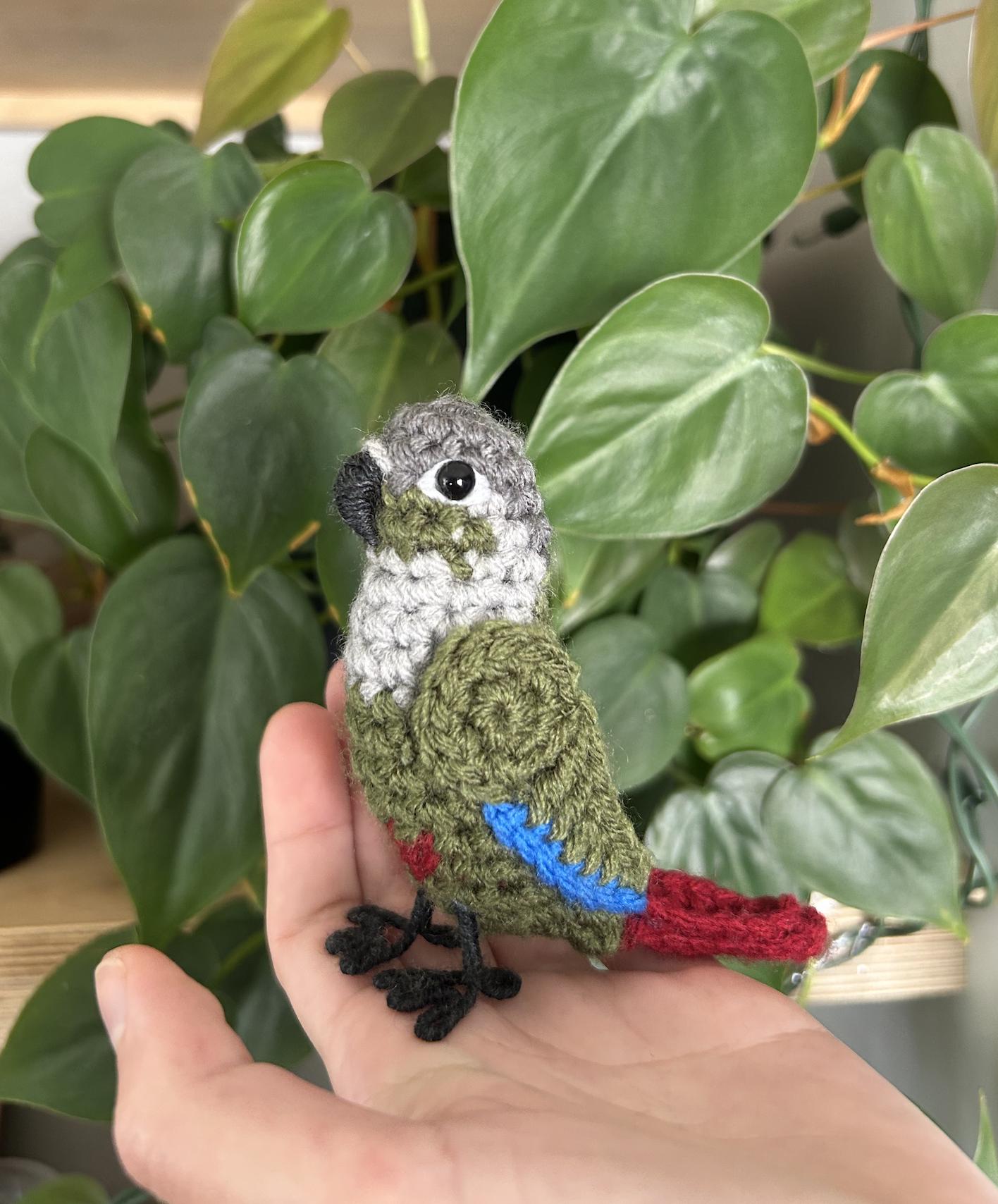 Green Cheek Conure Written Crochet Pattern | DIGITAL PDF