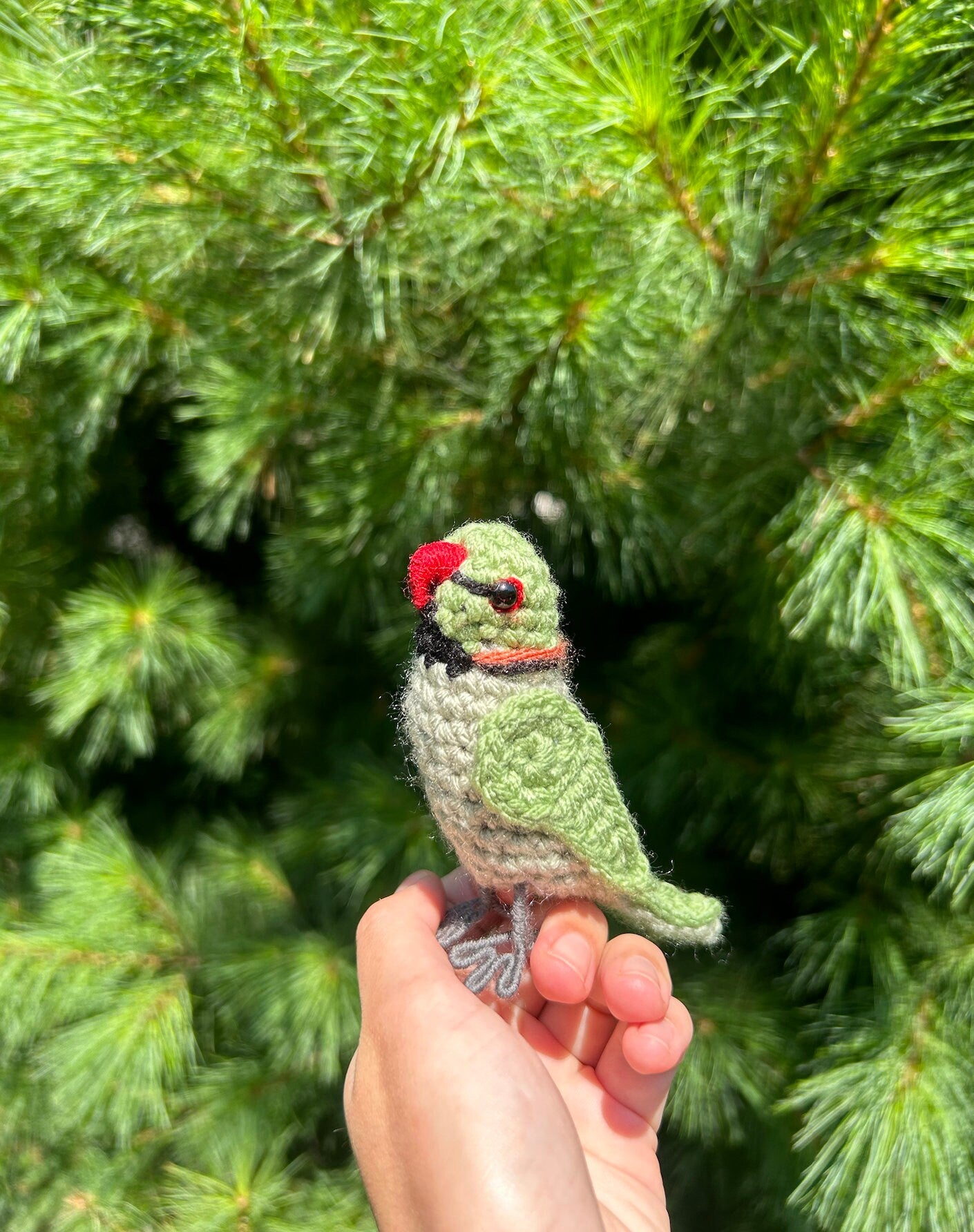 Rose Ringed Parakeet Written Crochet Pattern | DIGITAL PDF