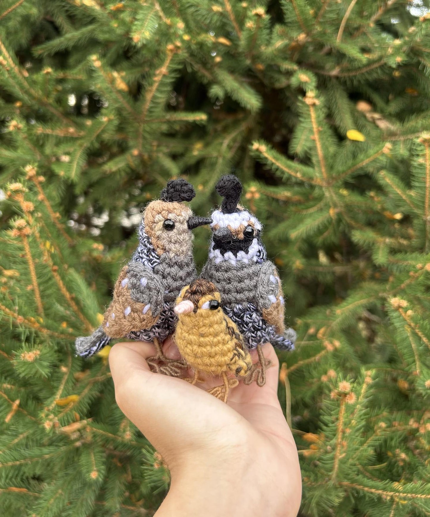 Quail Family Crochet Pattern Bundle | DIGITAL PDFs