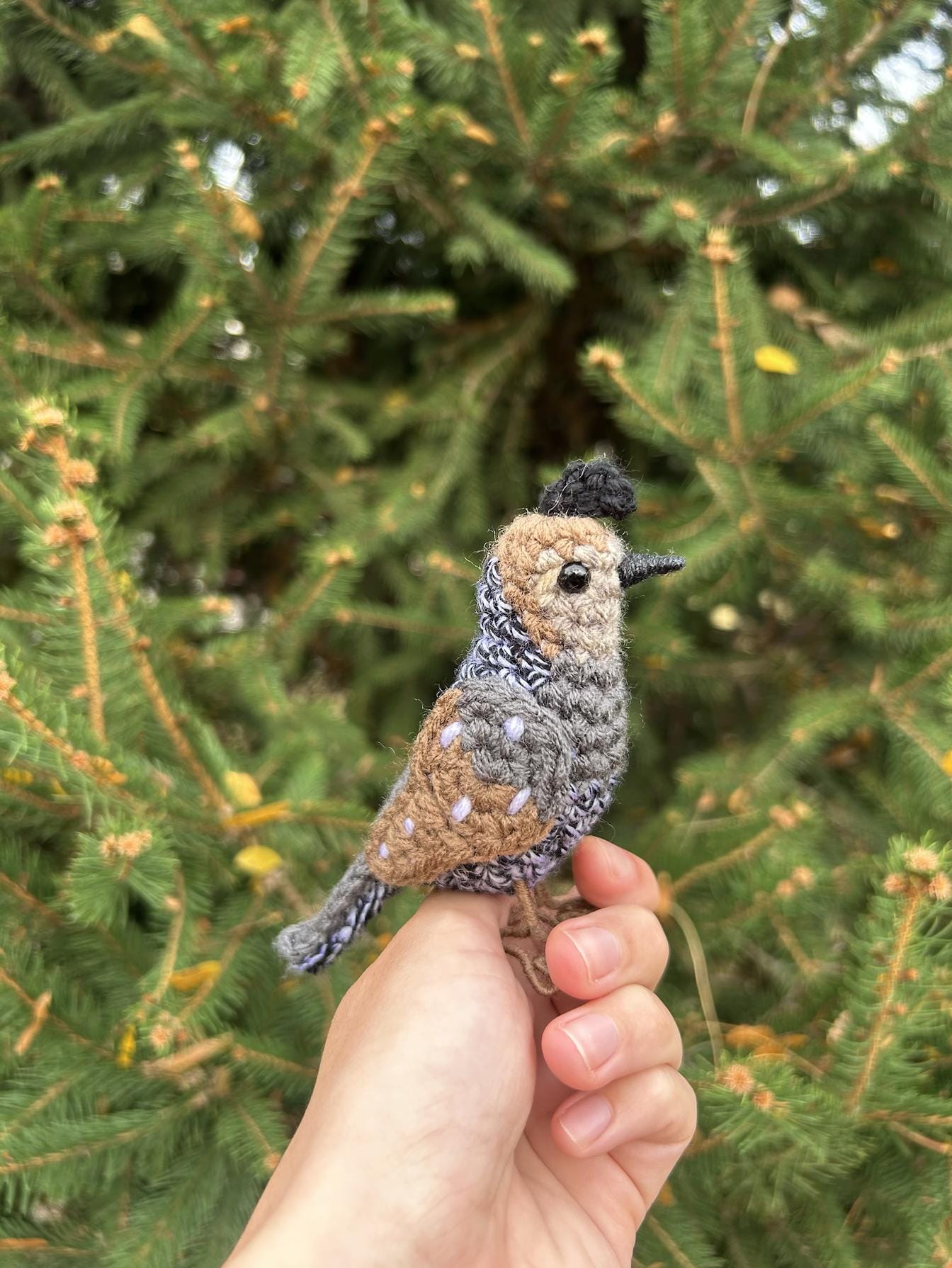 Female California Quail Written Crochet Pattern | DIGITAL PDF
