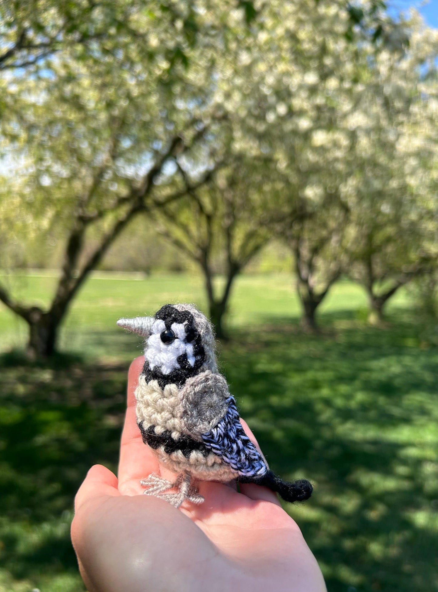 Finches Crochet Pattern Collection | DIGITAL PDFs