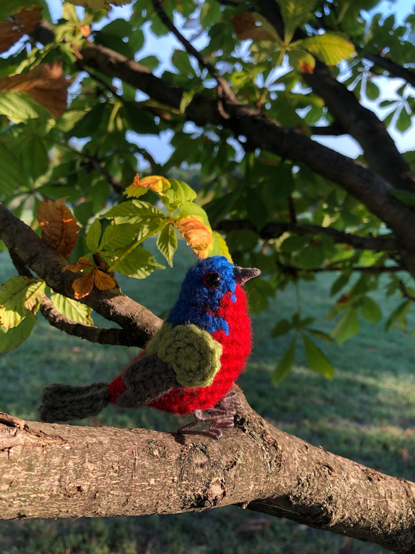 Painted Bunting Written Crochet Pattern | DIGITAL PDF