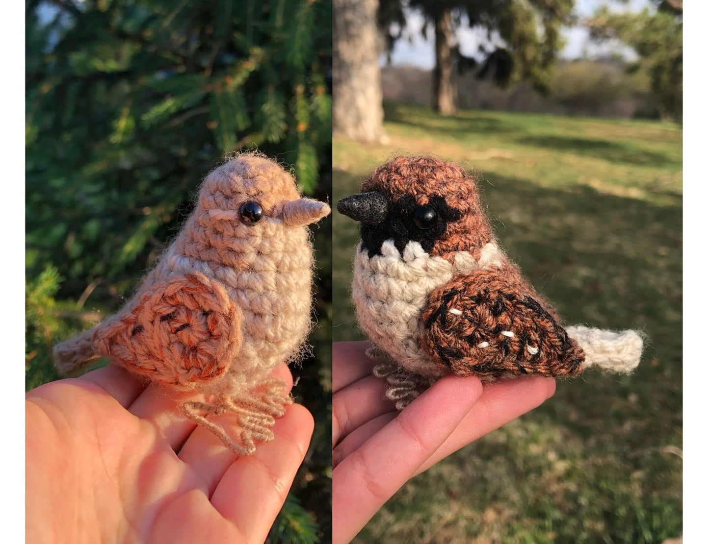 Male + Female House Sparrow Bundle
