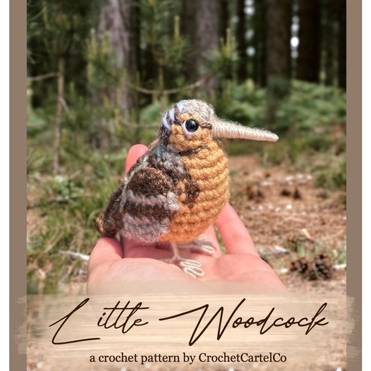 Crochet pattern for a woodcock held in a hand with a forest background, featuring the brand 'CrochetCartelCo'.