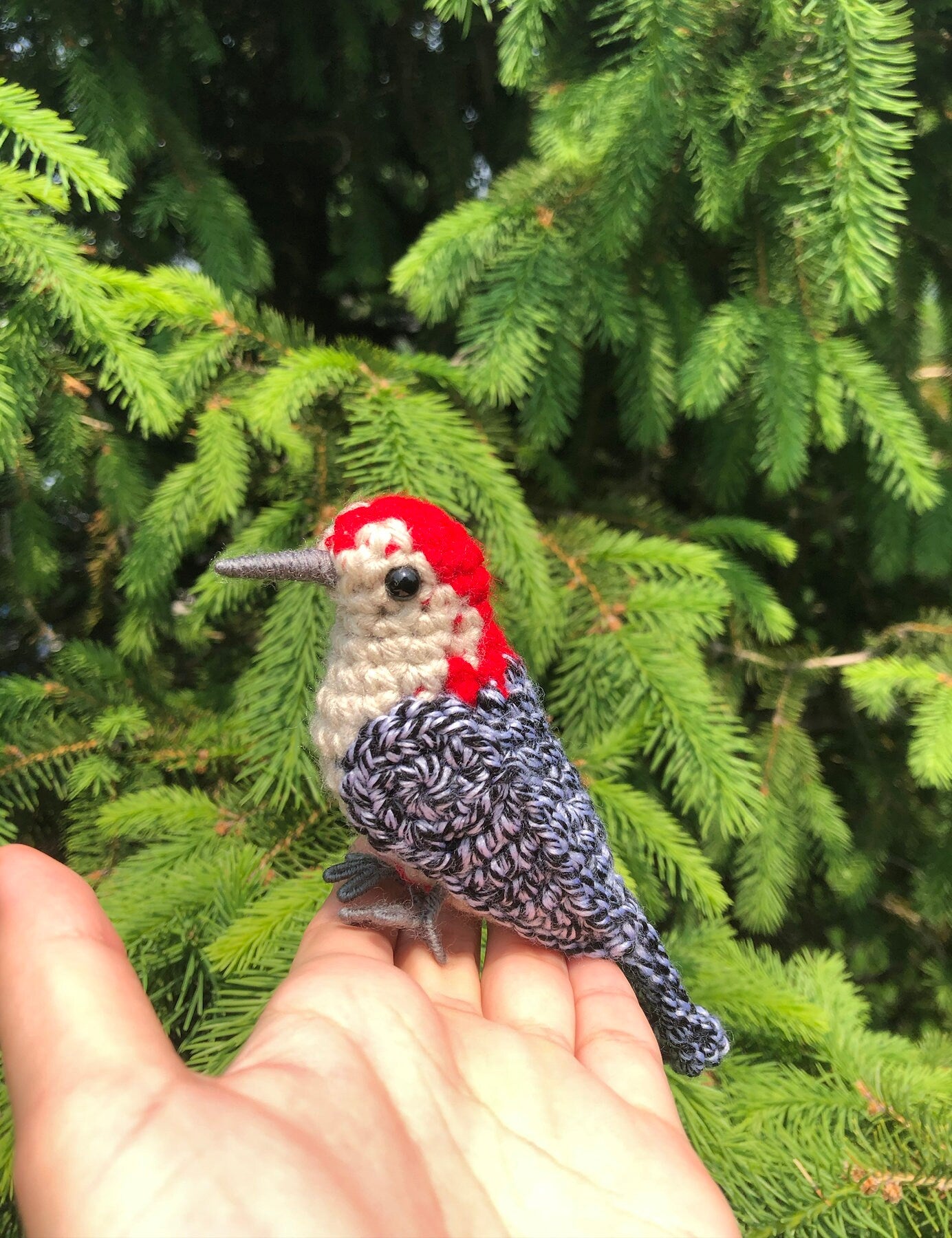 Red-bellied Woodpecker Written Crochet Pattern | DIGITAL PDF