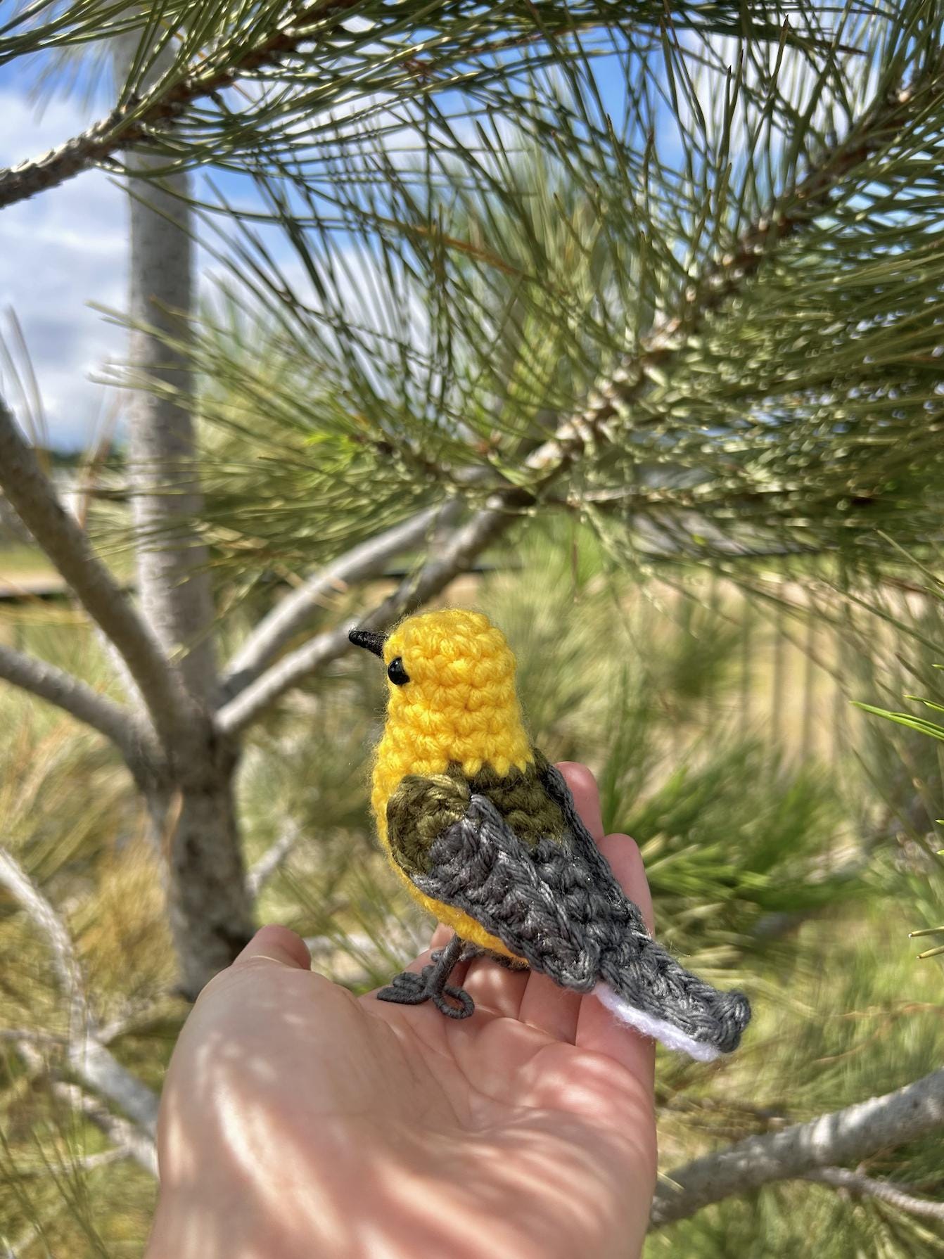 Prothonotary Warbler Written Crochet Pattern | DIGITAL PDF