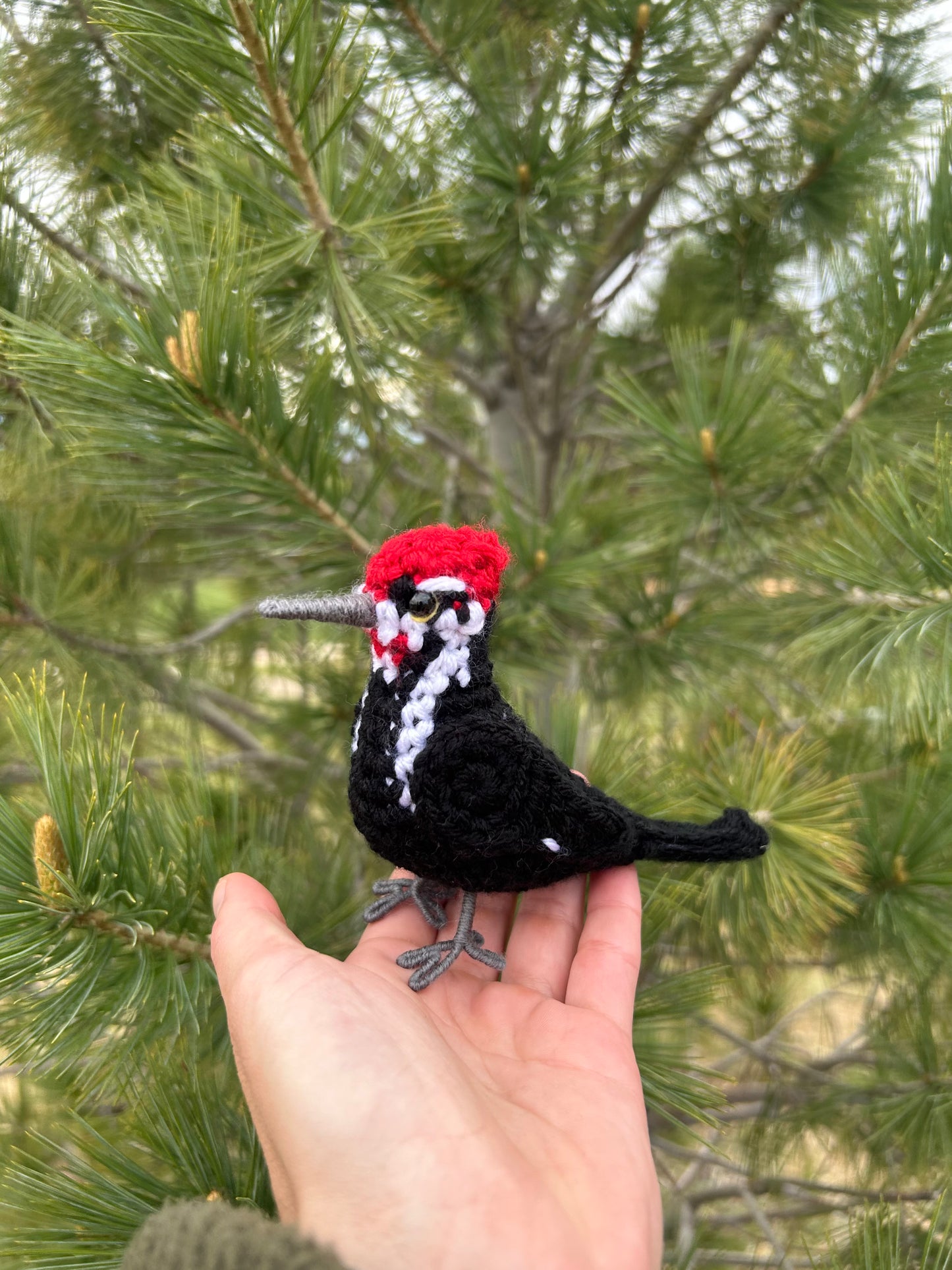 Pileated Woodpecker Written Crochet Pattern | DIGITAL PDF