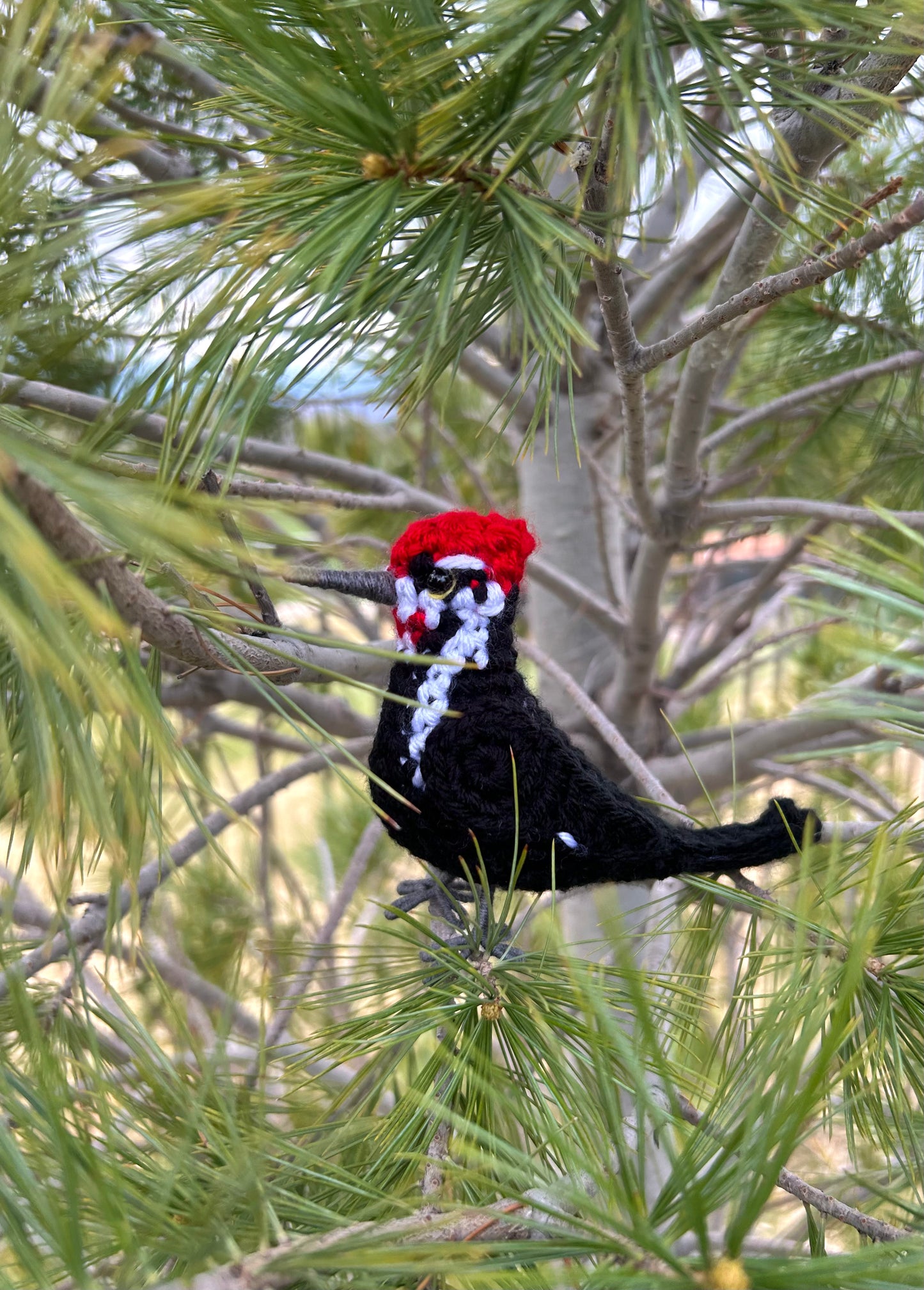 Pileated Woodpecker Plush