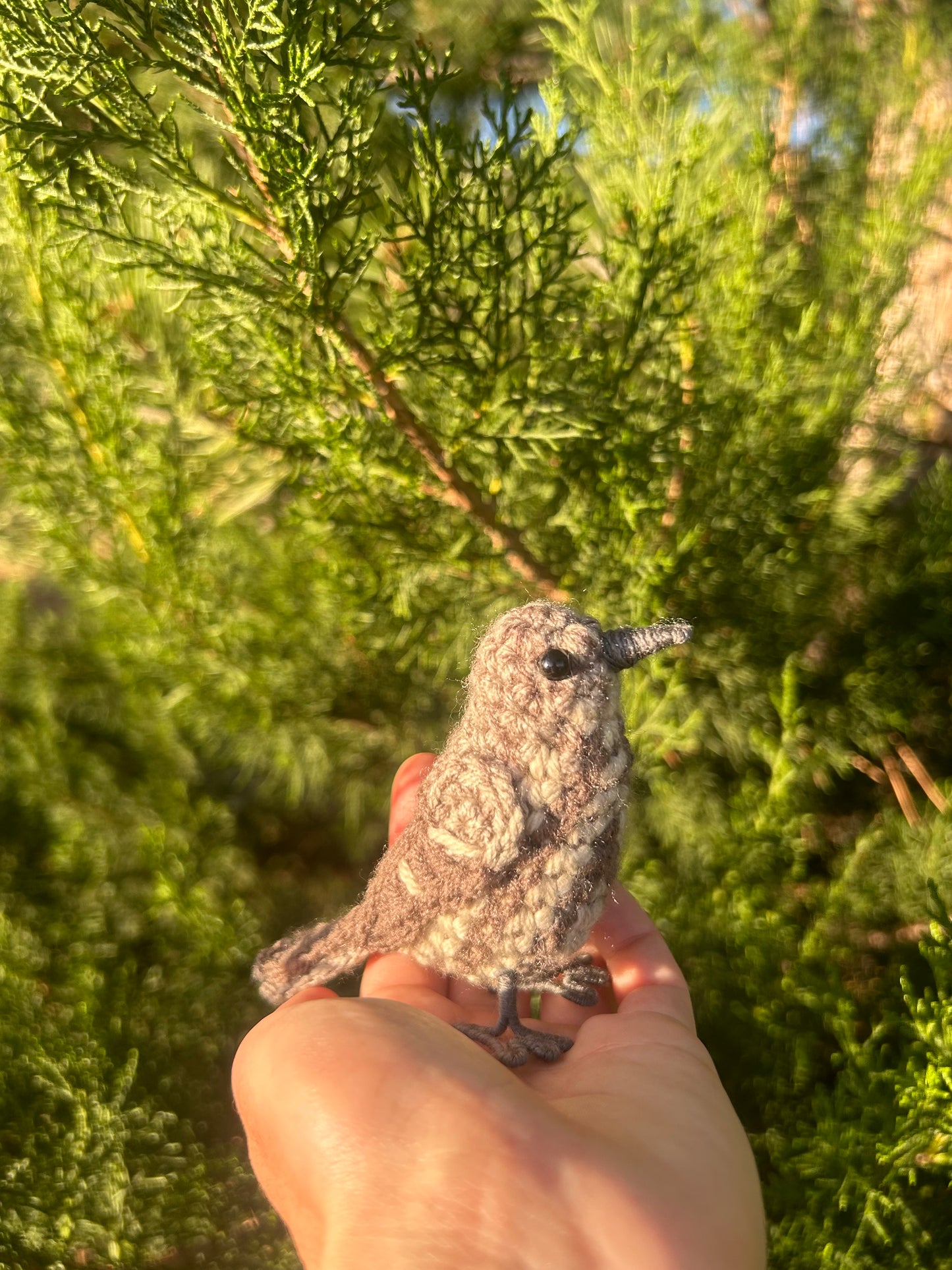 Male + Female House Finch Bundle