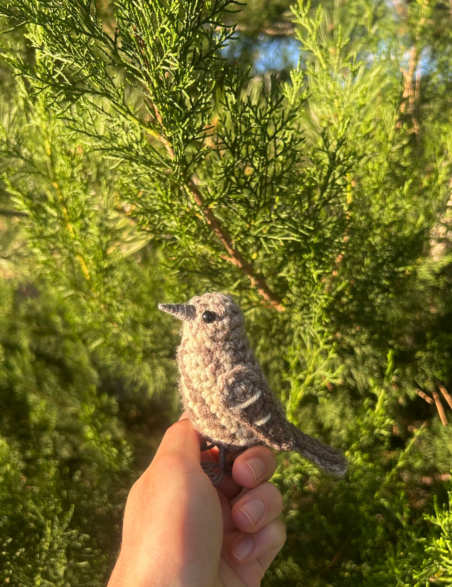 Male + Female House Finch Bundle