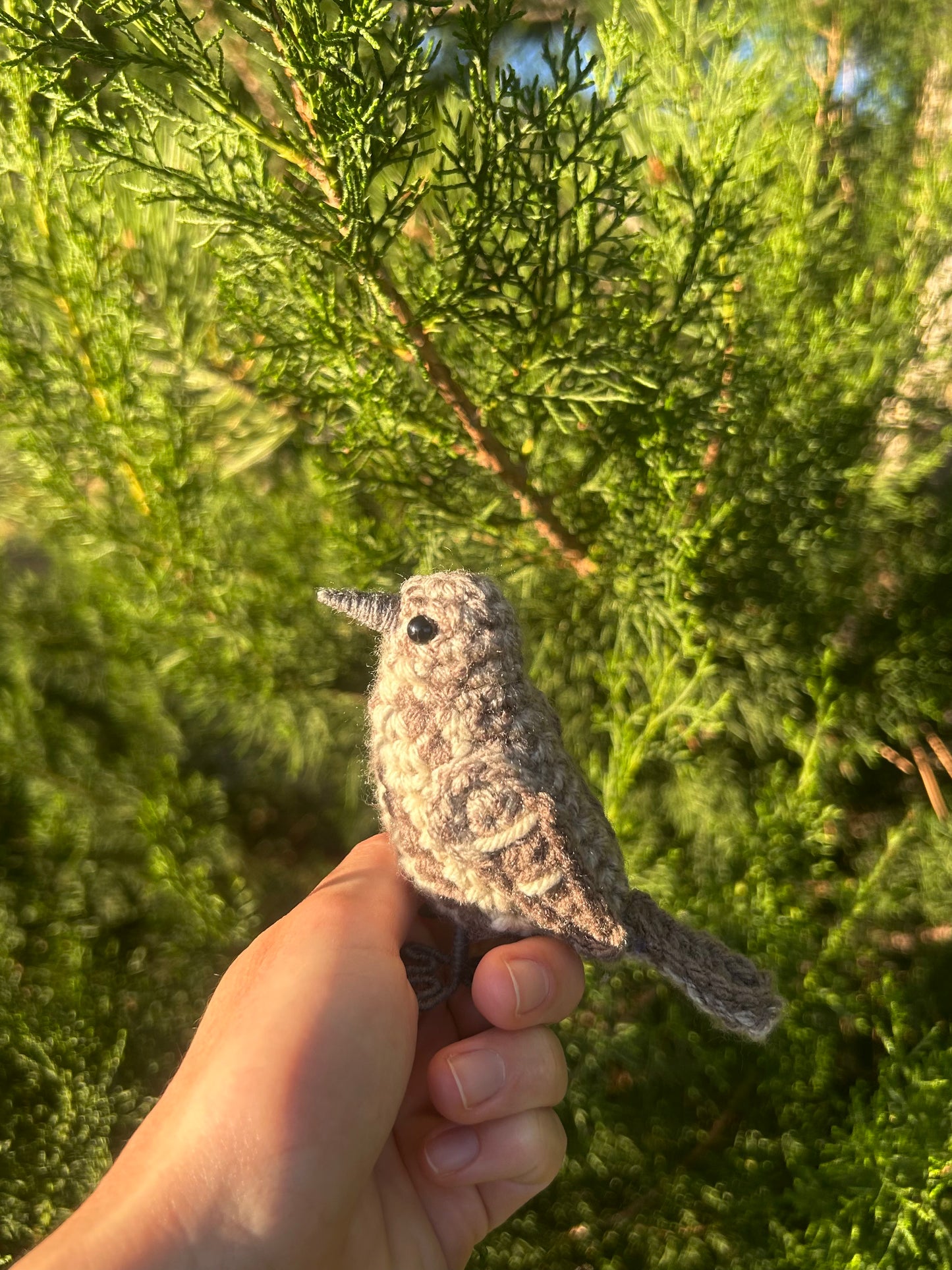 Female House Finch Written Crochet Pattern | DIGITAL PDF