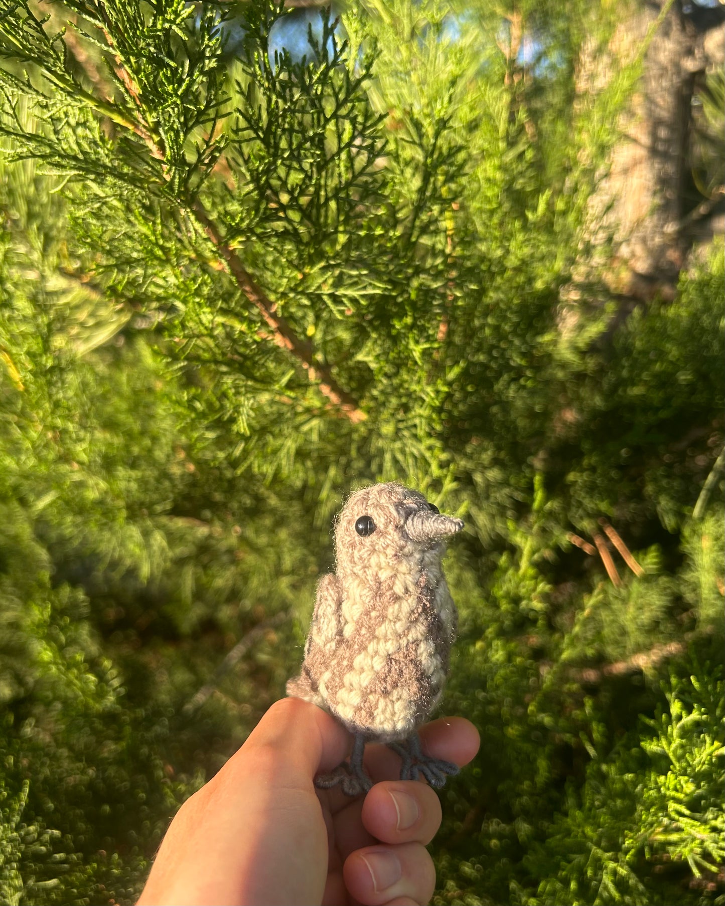 Female House Finch Written Crochet Pattern | DIGITAL PDF
