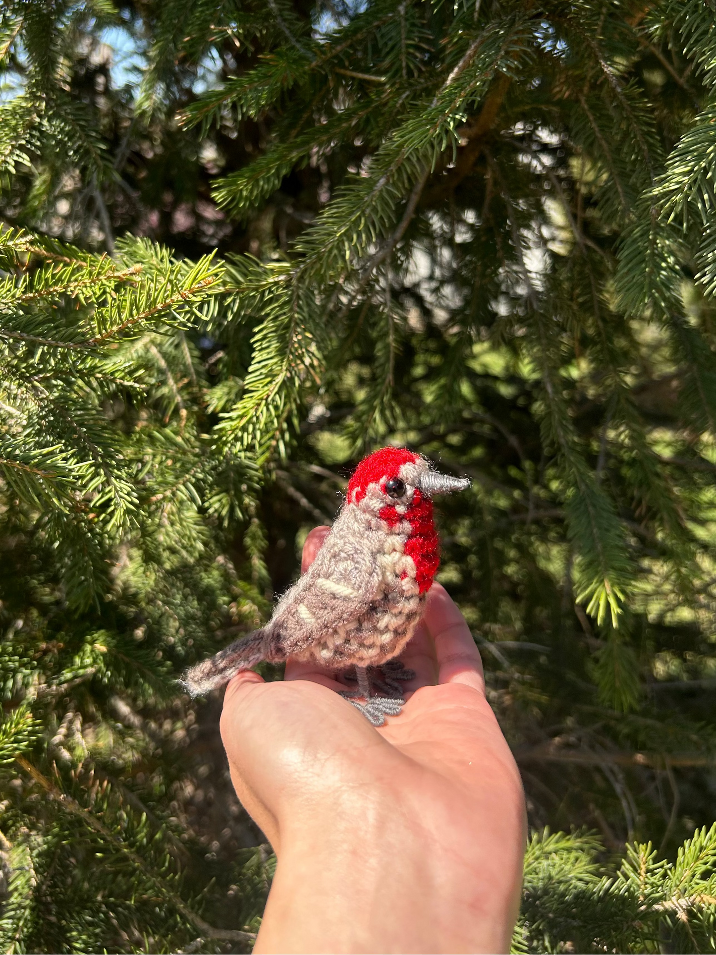 Male + Female House Finch Crochet Pattern Bundle | DIGITAL PDFs