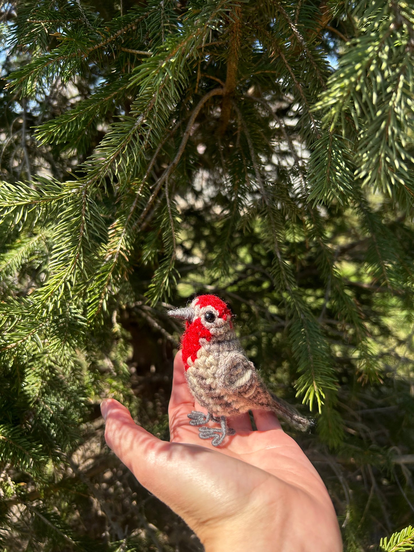 Male + Female House Finch Crochet Pattern Bundle | DIGITAL PDFs