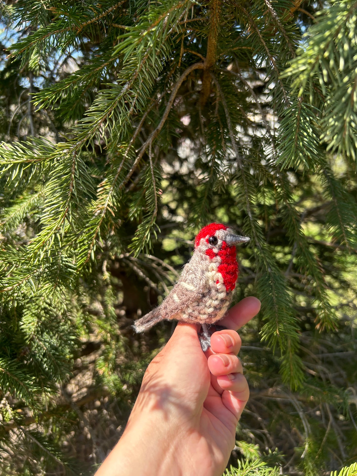 Male + Female House Finch Bundle