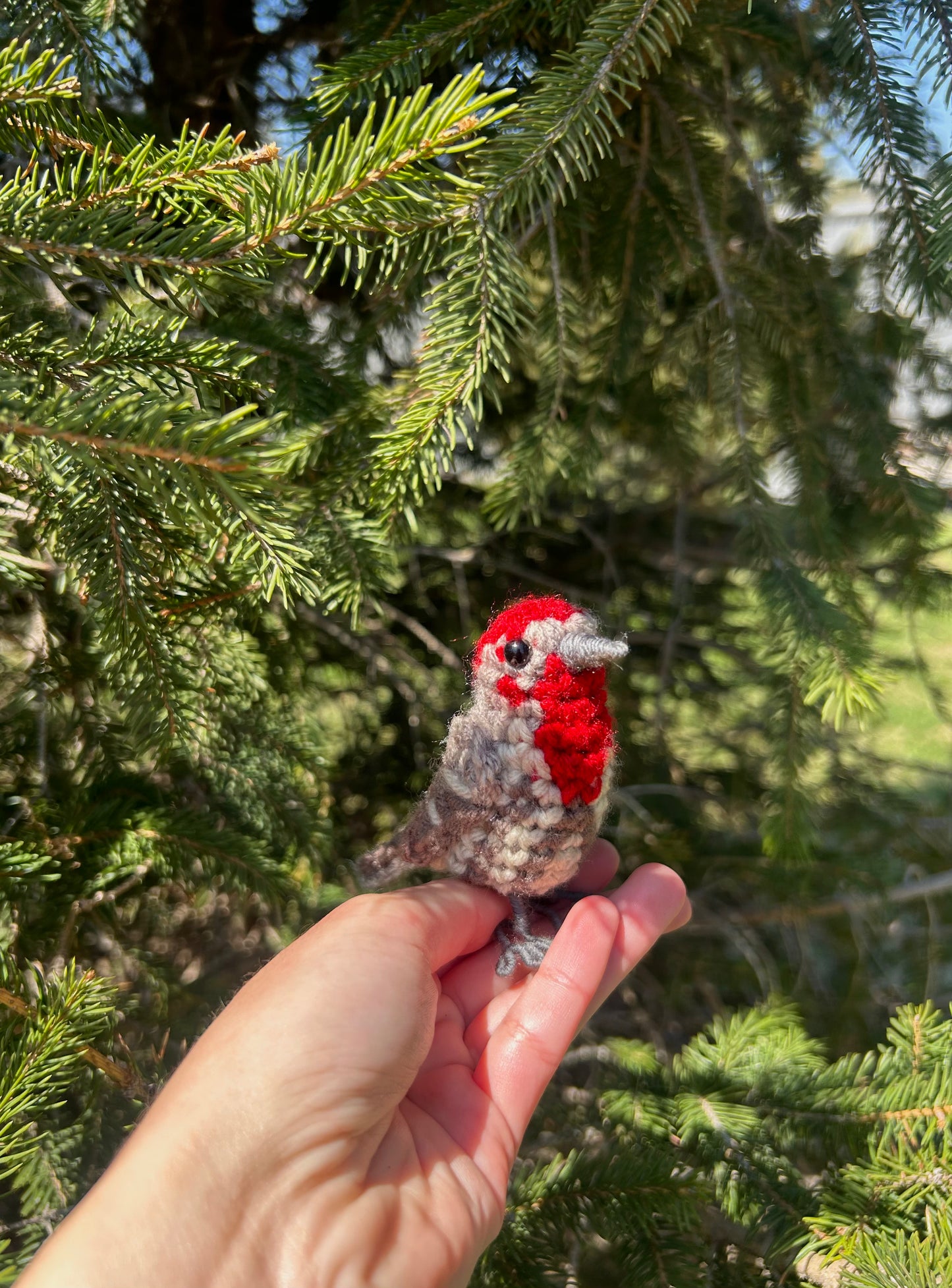 Male + Female House Finch Bundle