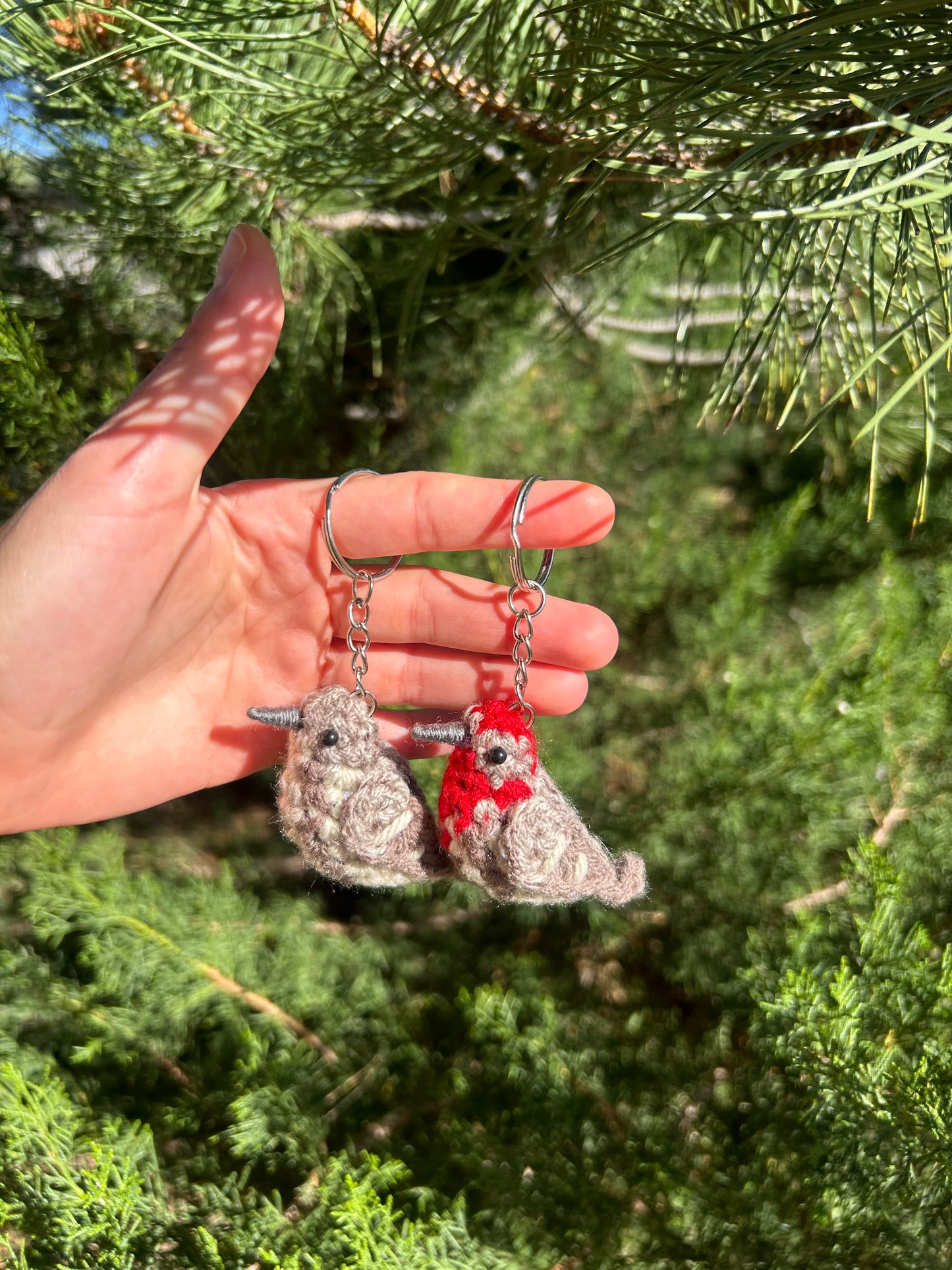 Tiny Birdies Male & Female House Finch Keychain