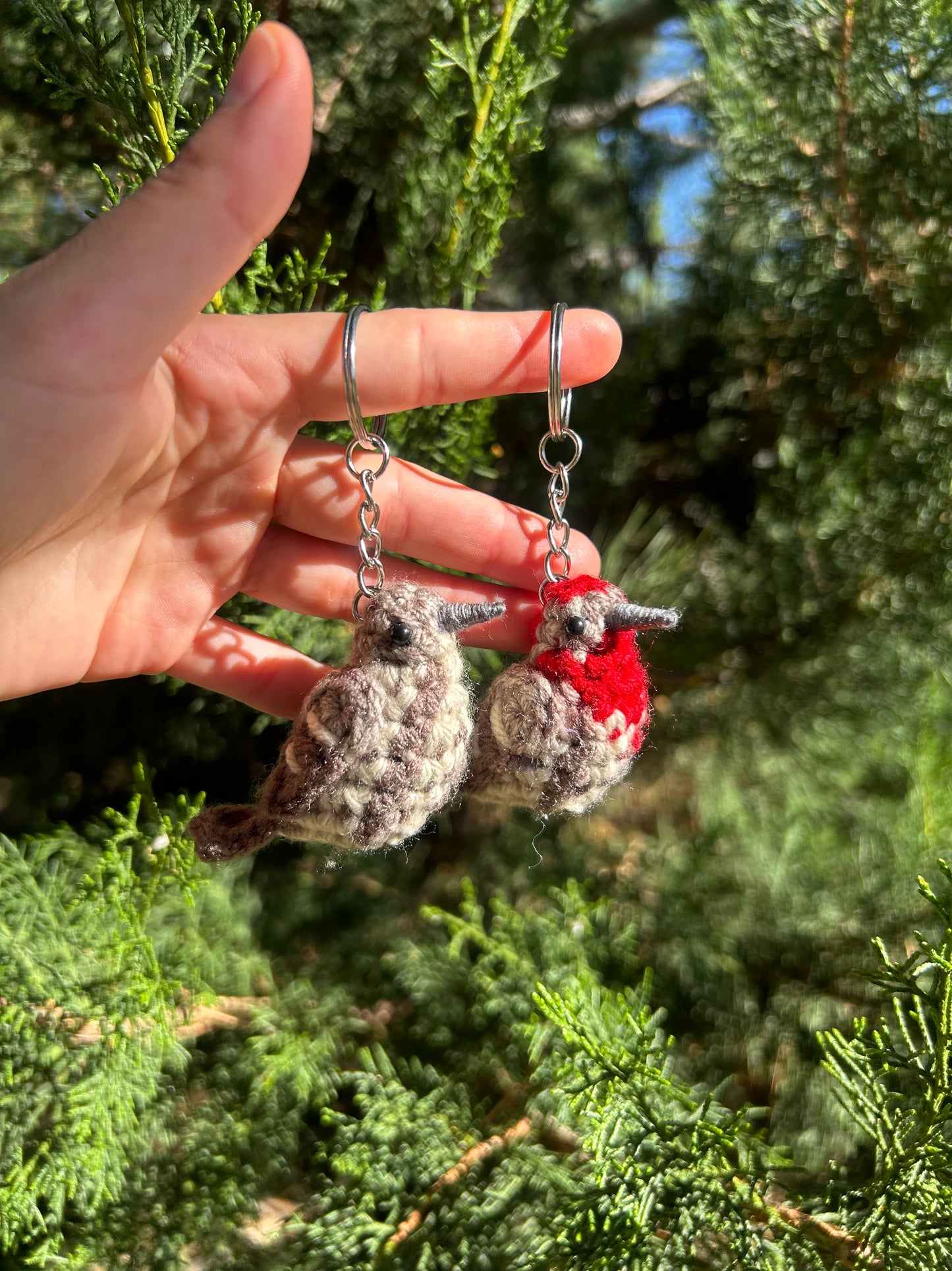 Tiny Birdies Male & Female House Finch Keychain