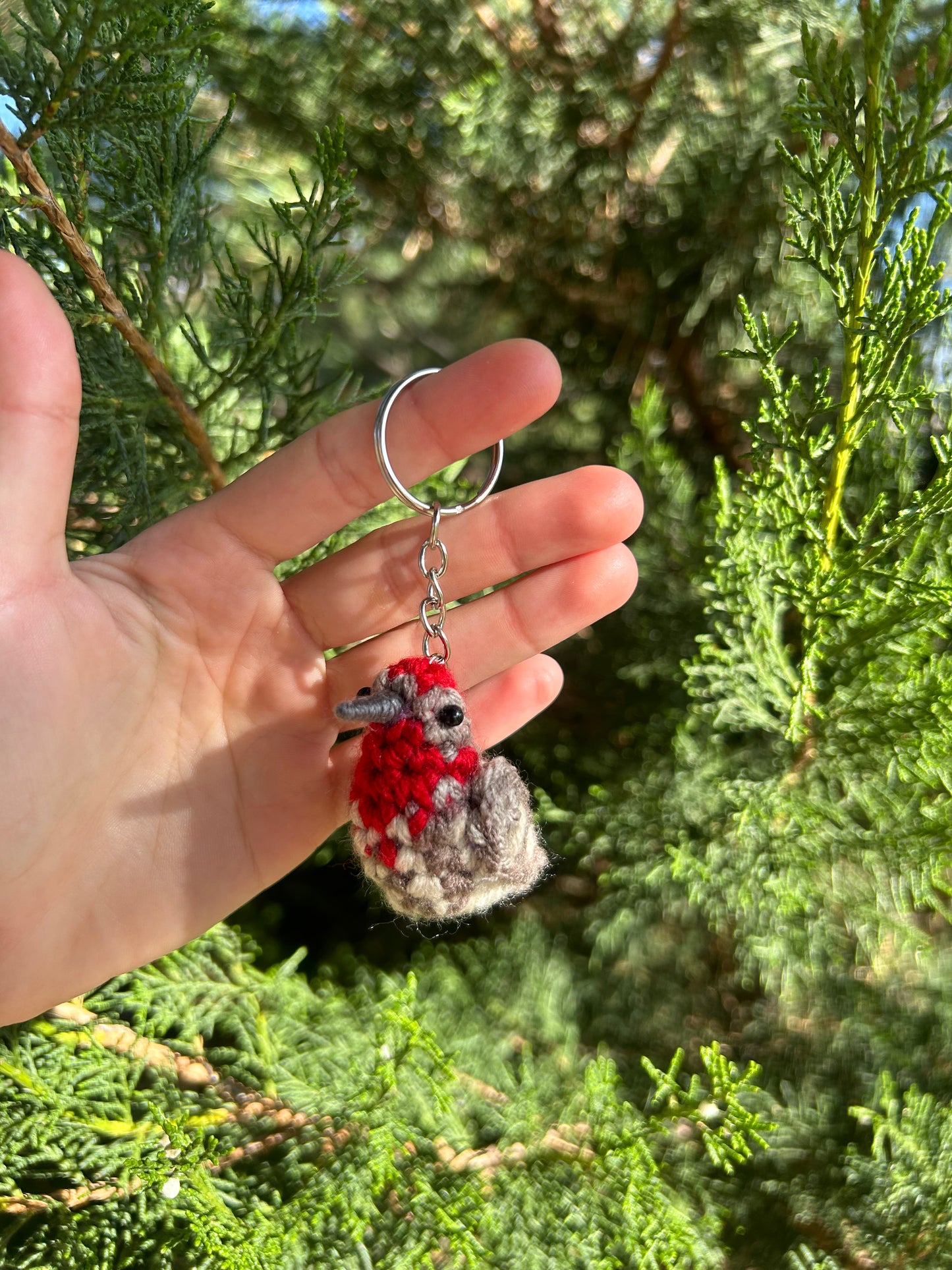 Tiny Birdies Male House Finch Written Crochet Pattern | DIGITAL PDF