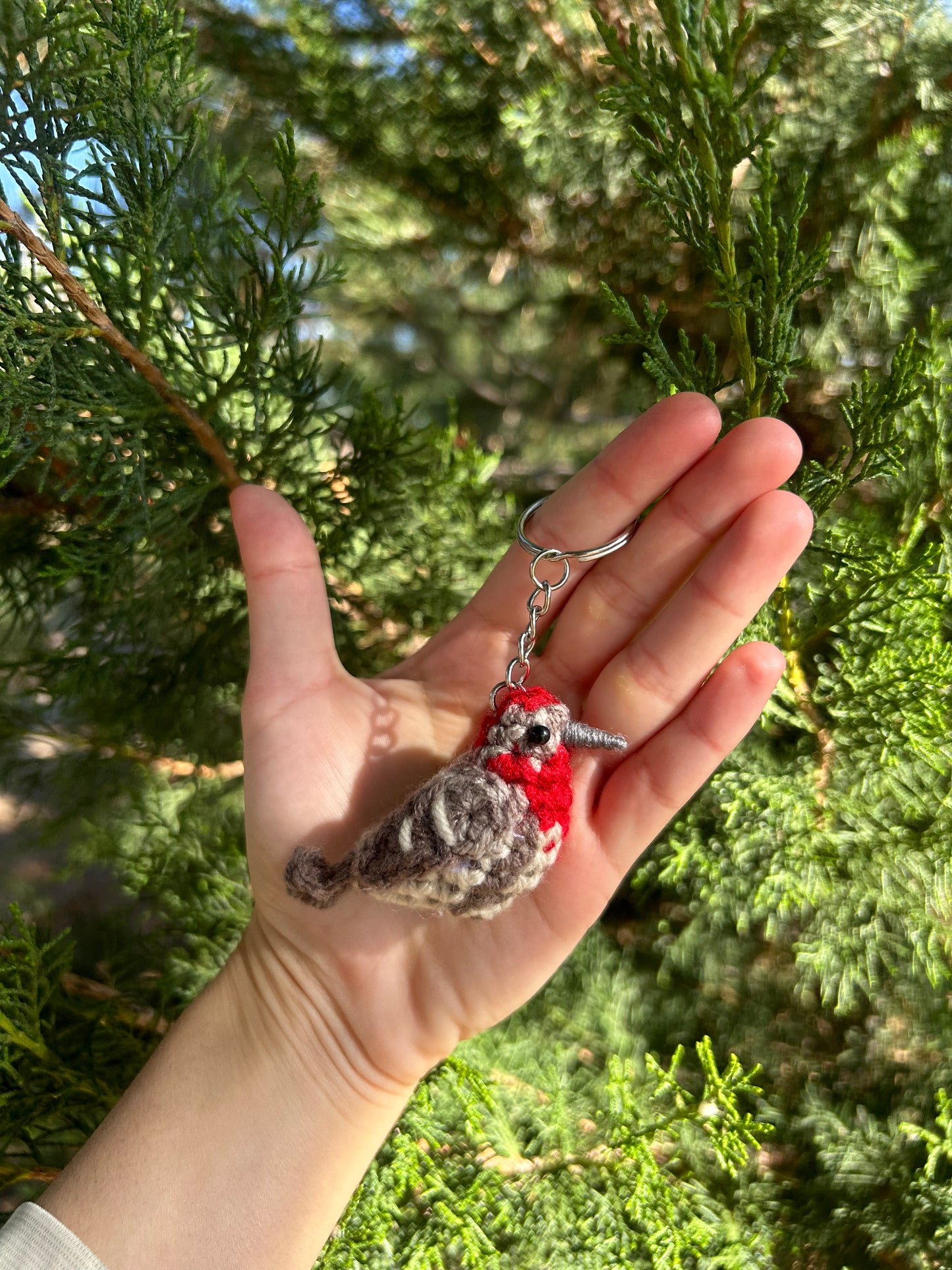 Tiny Birdies Male House Finch Written Crochet Pattern | DIGITAL PDF