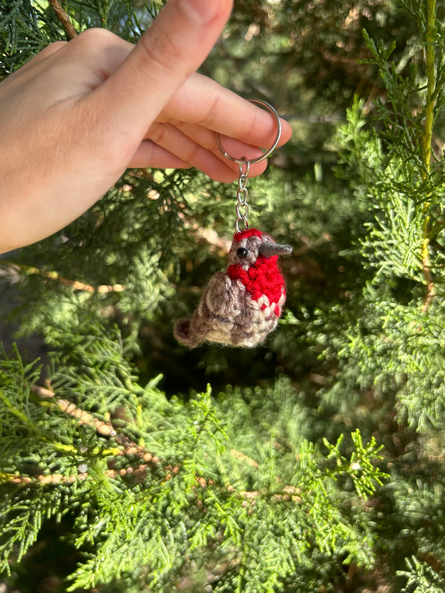 Tiny Birdies Male & Female House Finch Keychain