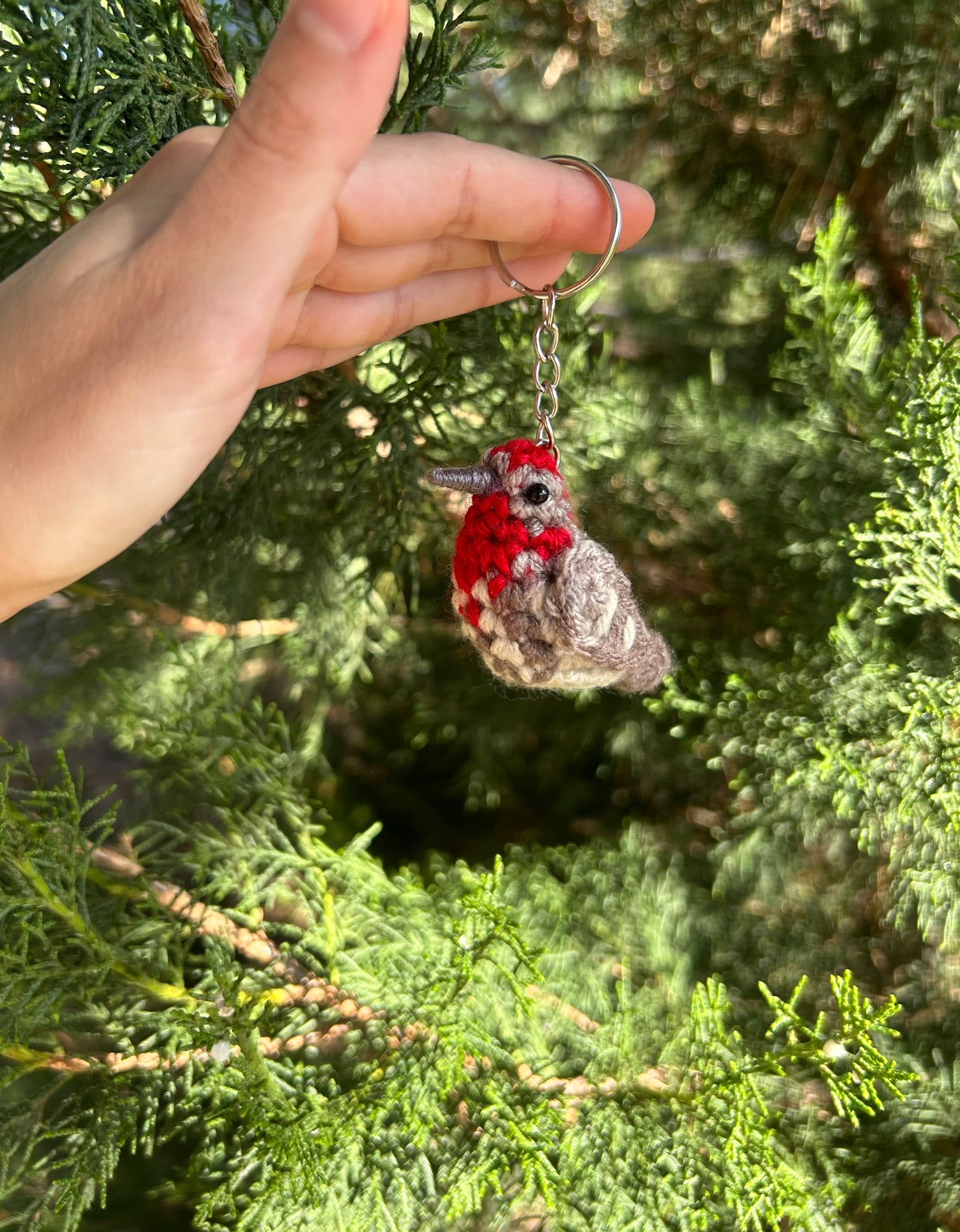 Tiny Birdies Male House Finch Written Crochet Pattern | DIGITAL PDF