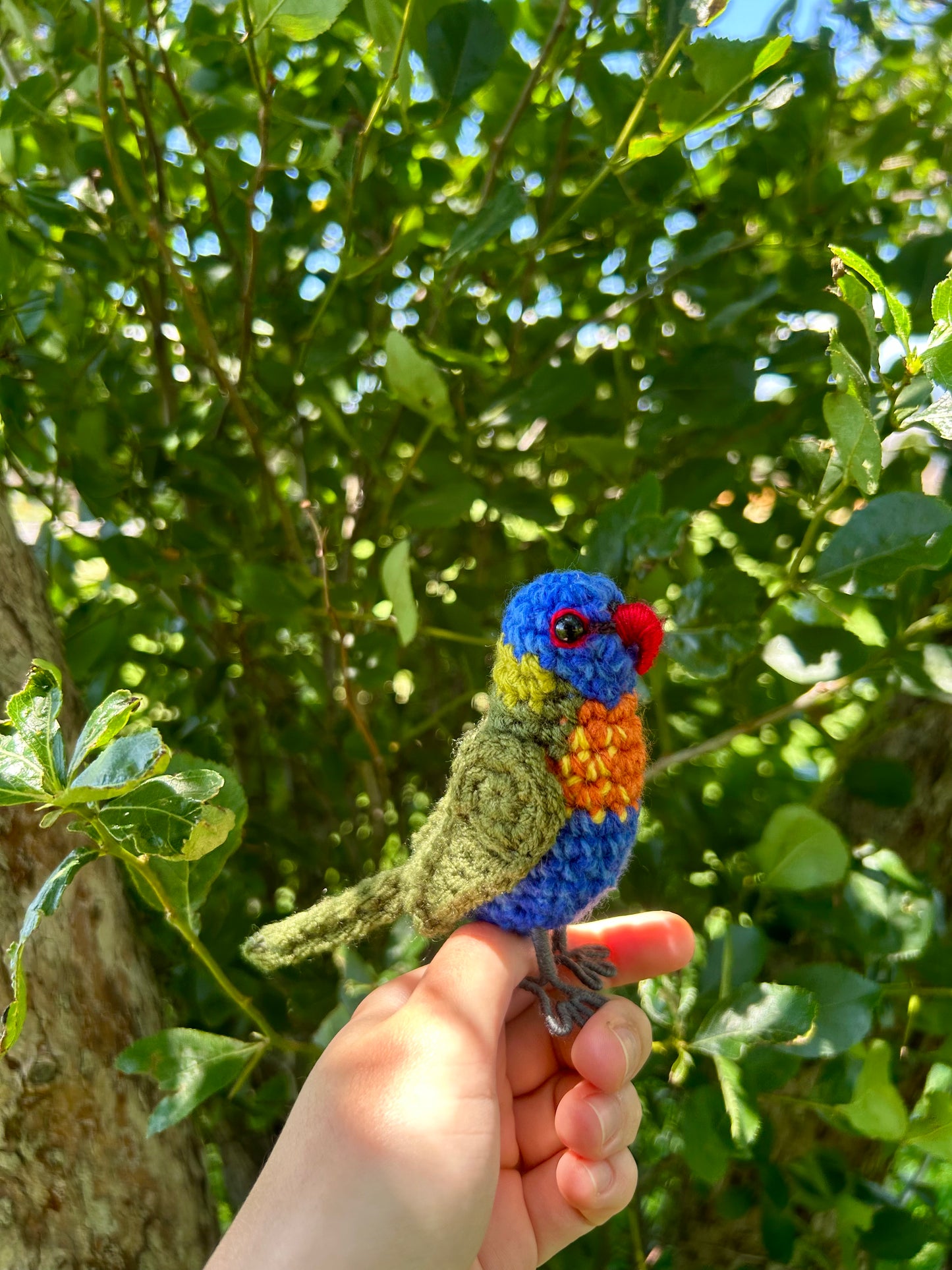 Rainbow Lorikeet Plush