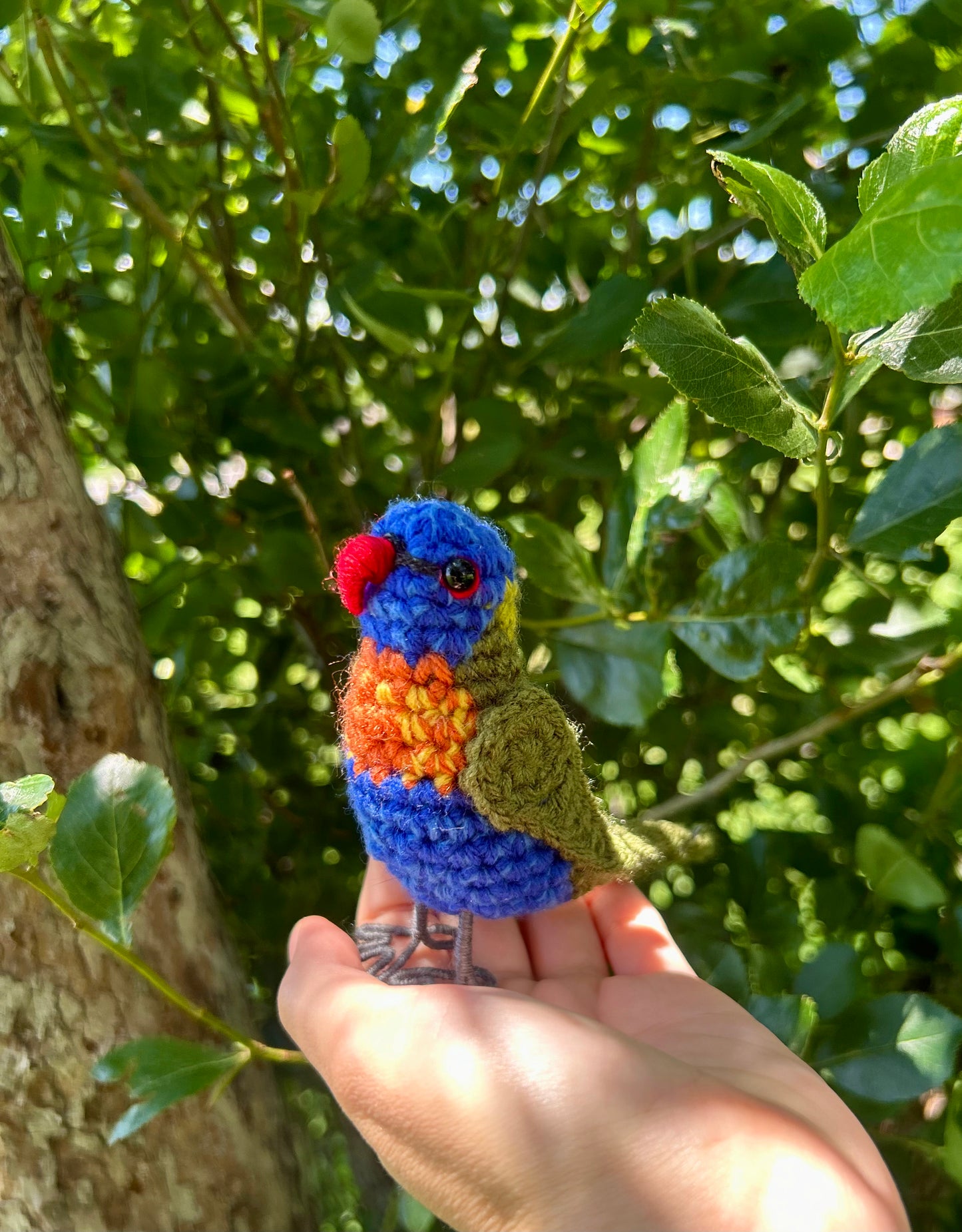 Rainbow Lorikeet Written Crochet Pattern | DIGITAL PDF