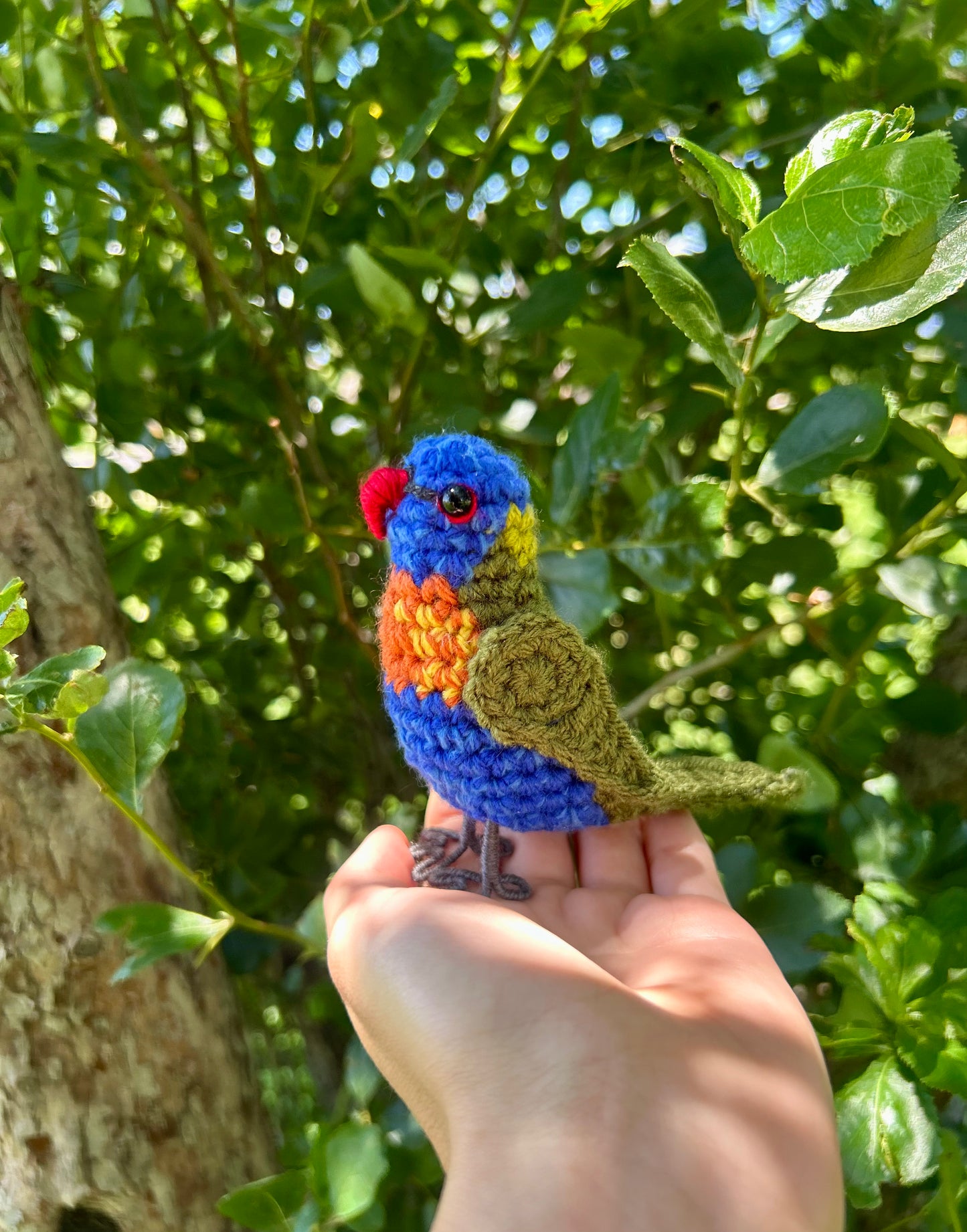 Rainbow Lorikeet Written Crochet Pattern | DIGITAL PDF