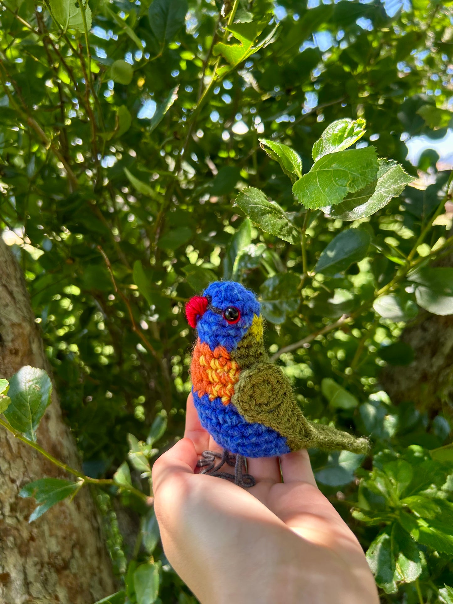 Rainbow Lorikeet Written Crochet Pattern | DIGITAL PDF