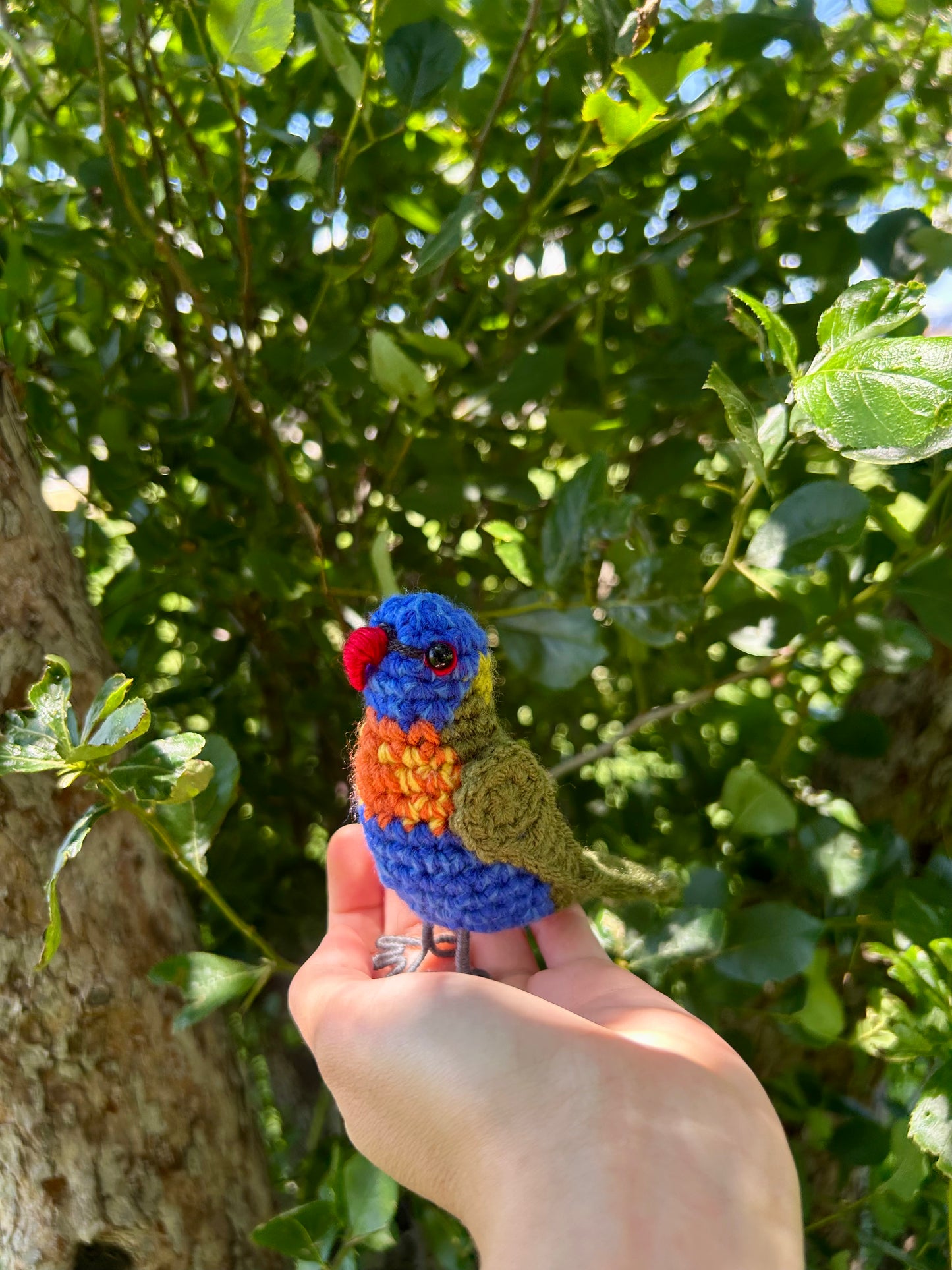Rainbow Lorikeet Written Crochet Pattern | DIGITAL PDF
